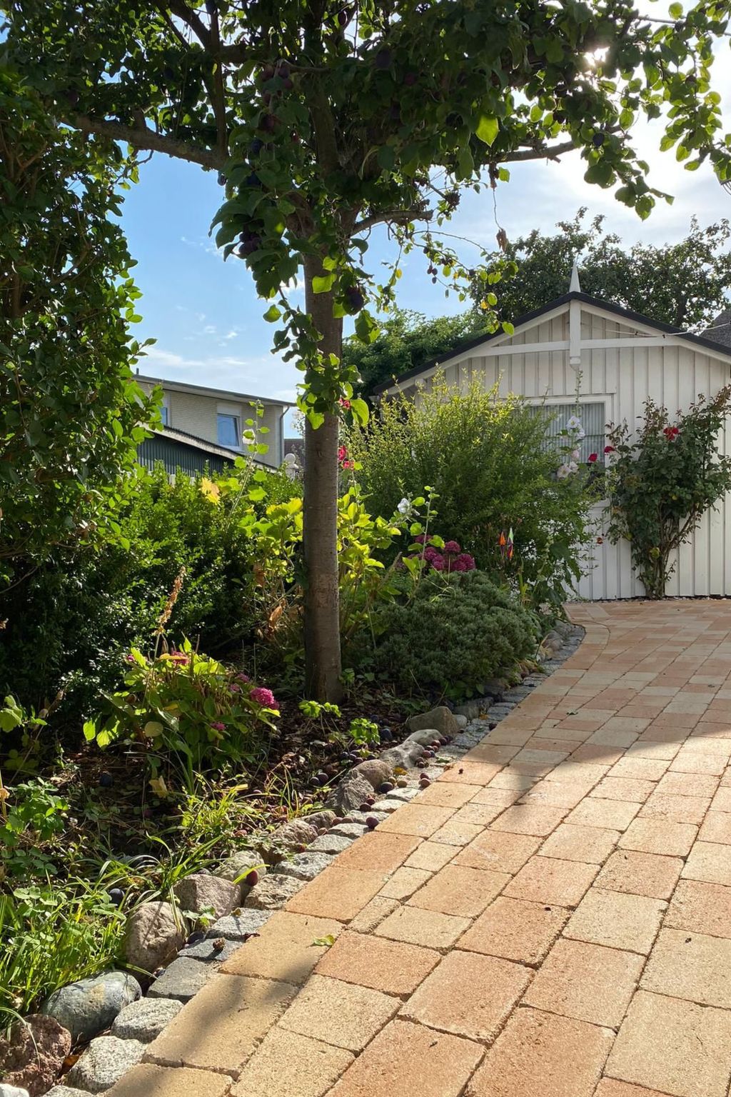 Freundlich eingerichtete Wohnung mit Meerblick - Buiten