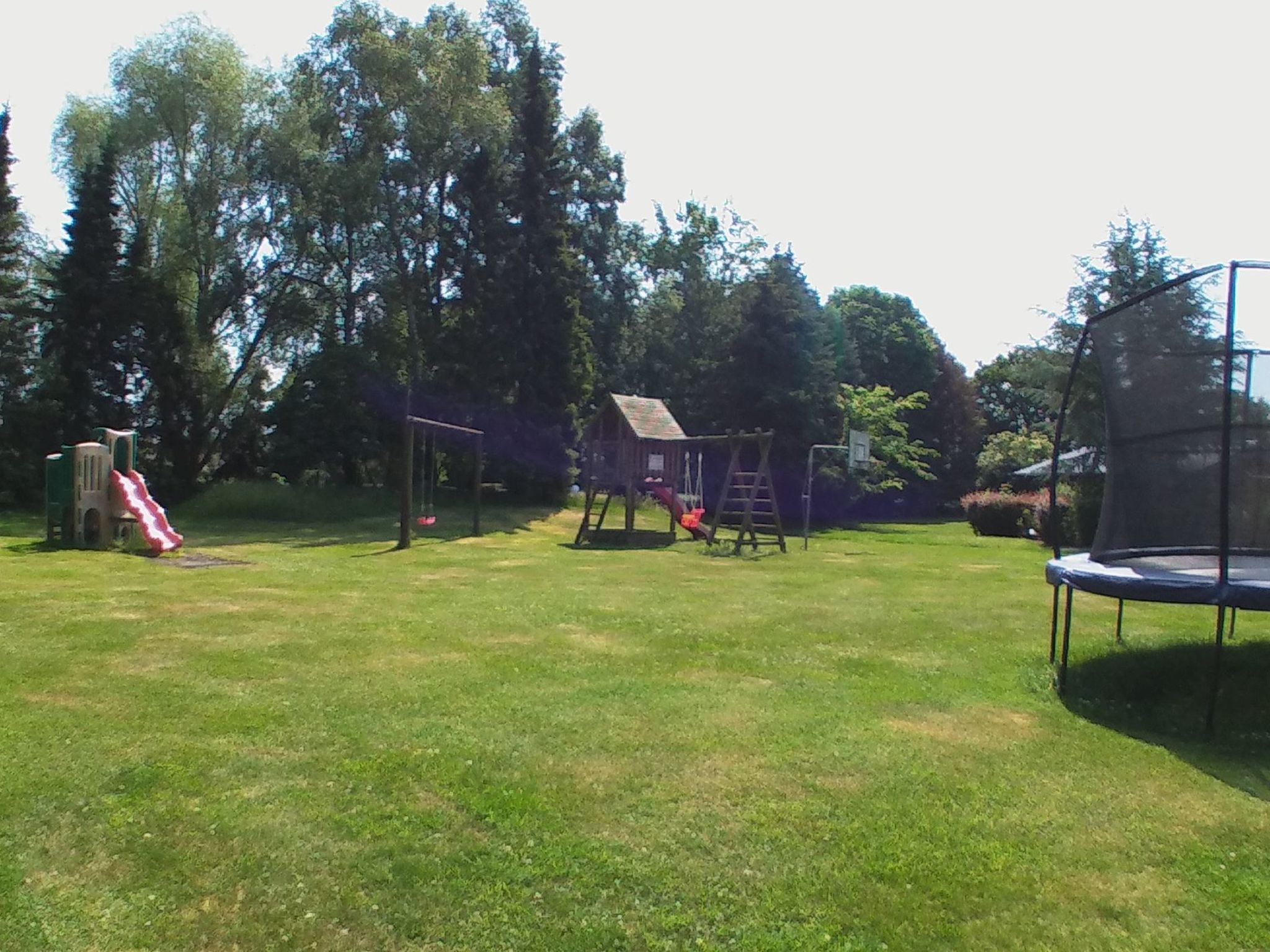 Fewo Waldblick-Image-tags.info