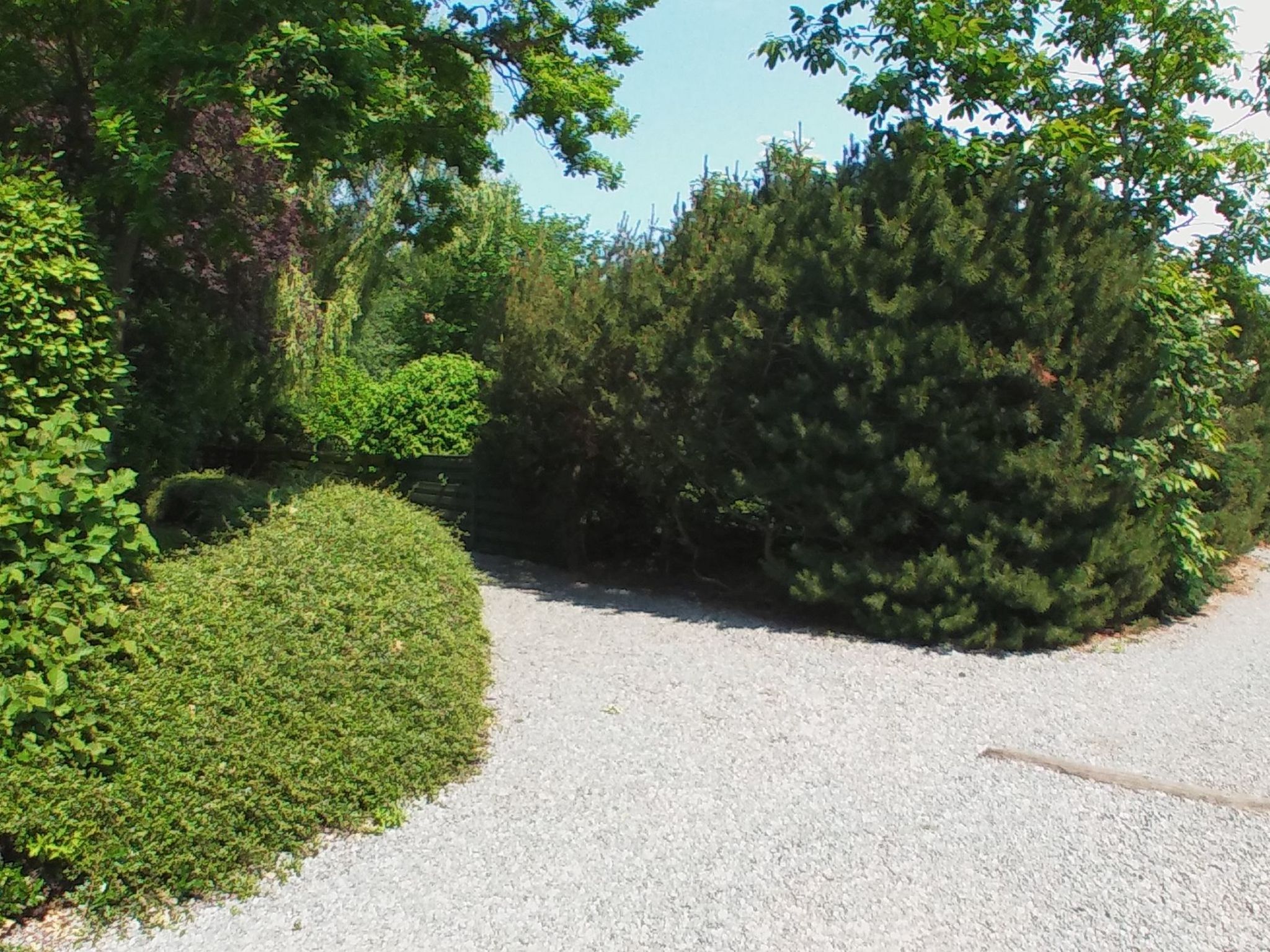 Fewo Waldblick-Image-tags.info