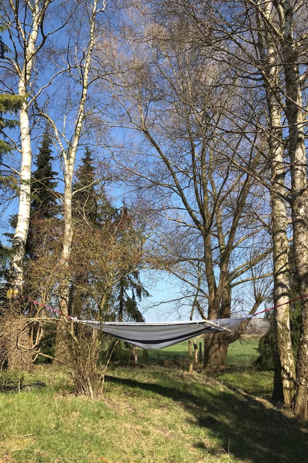 Fewo Waldblick-Image-tags.info