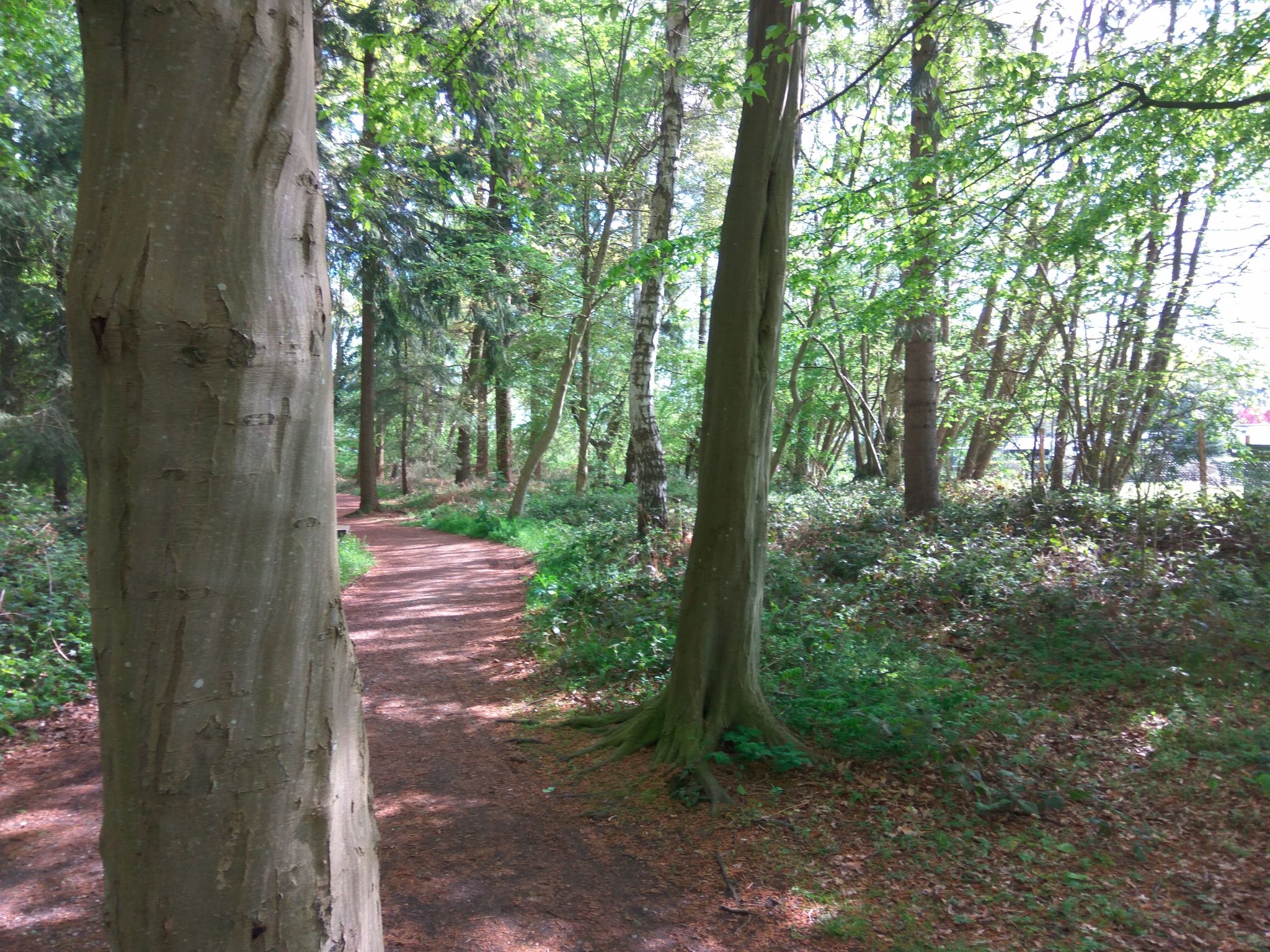 Fewo Waldblick-Image-tags.info