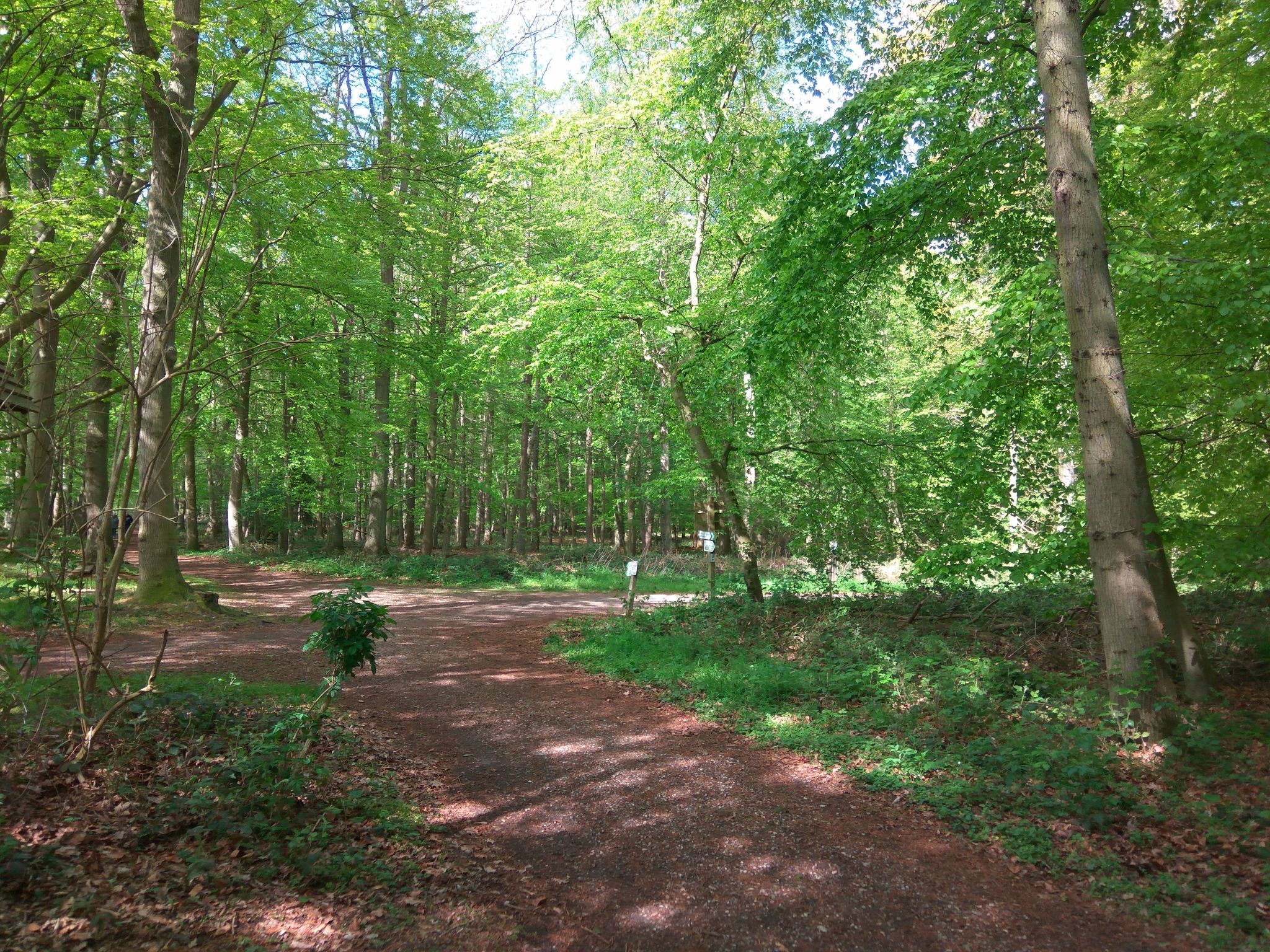 Fewo Waldblick-Image-tags.info