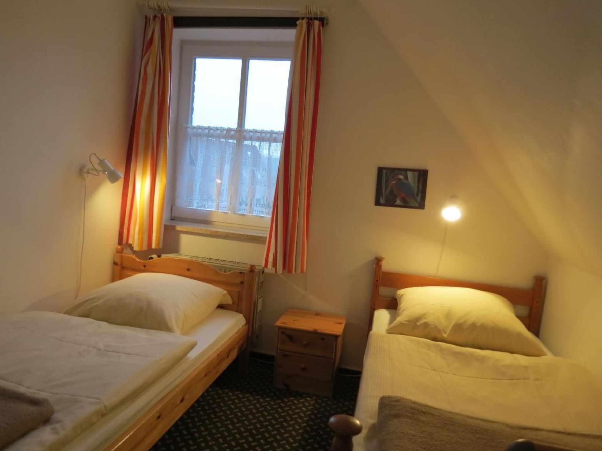 W9 zwischen Wald und Meer - Image-tags.info