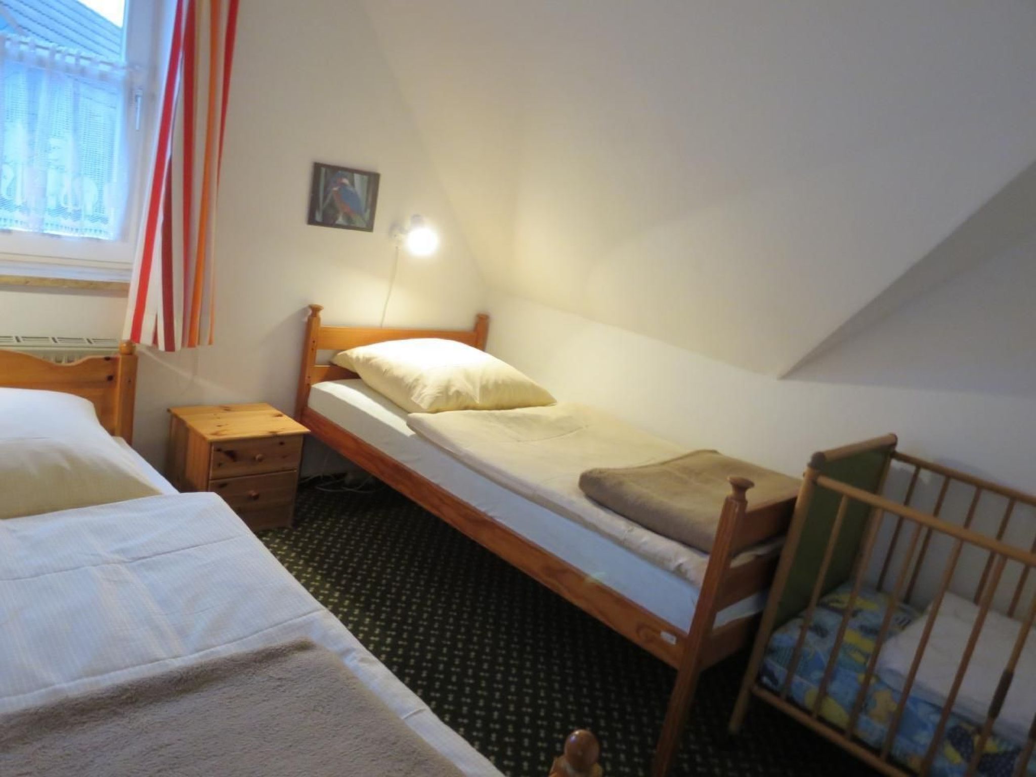 W9 zwischen Wald und Meer - Image-tags.info