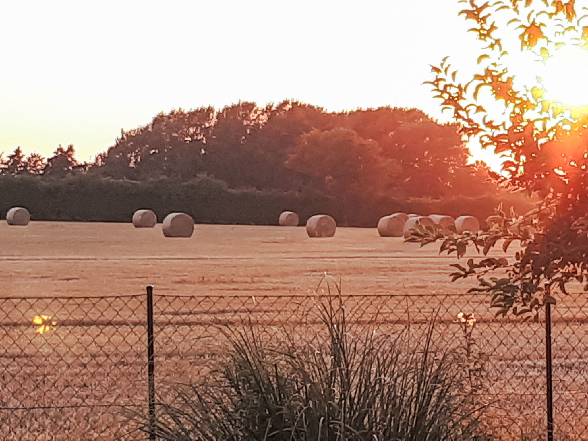 Mit Grill und Garten in Neukirchen - Buiten