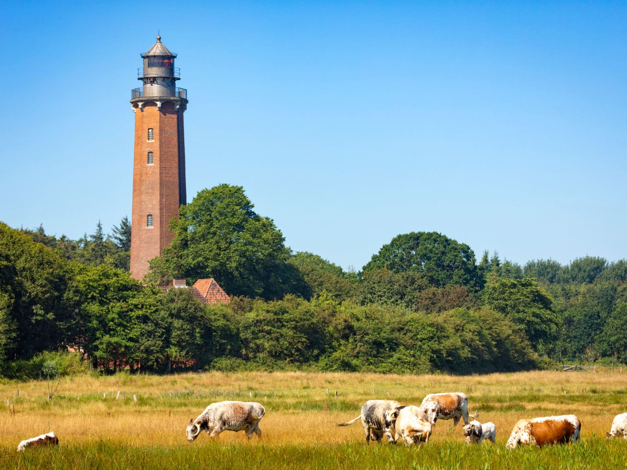 Hey Beachvilla-Image-tags.info