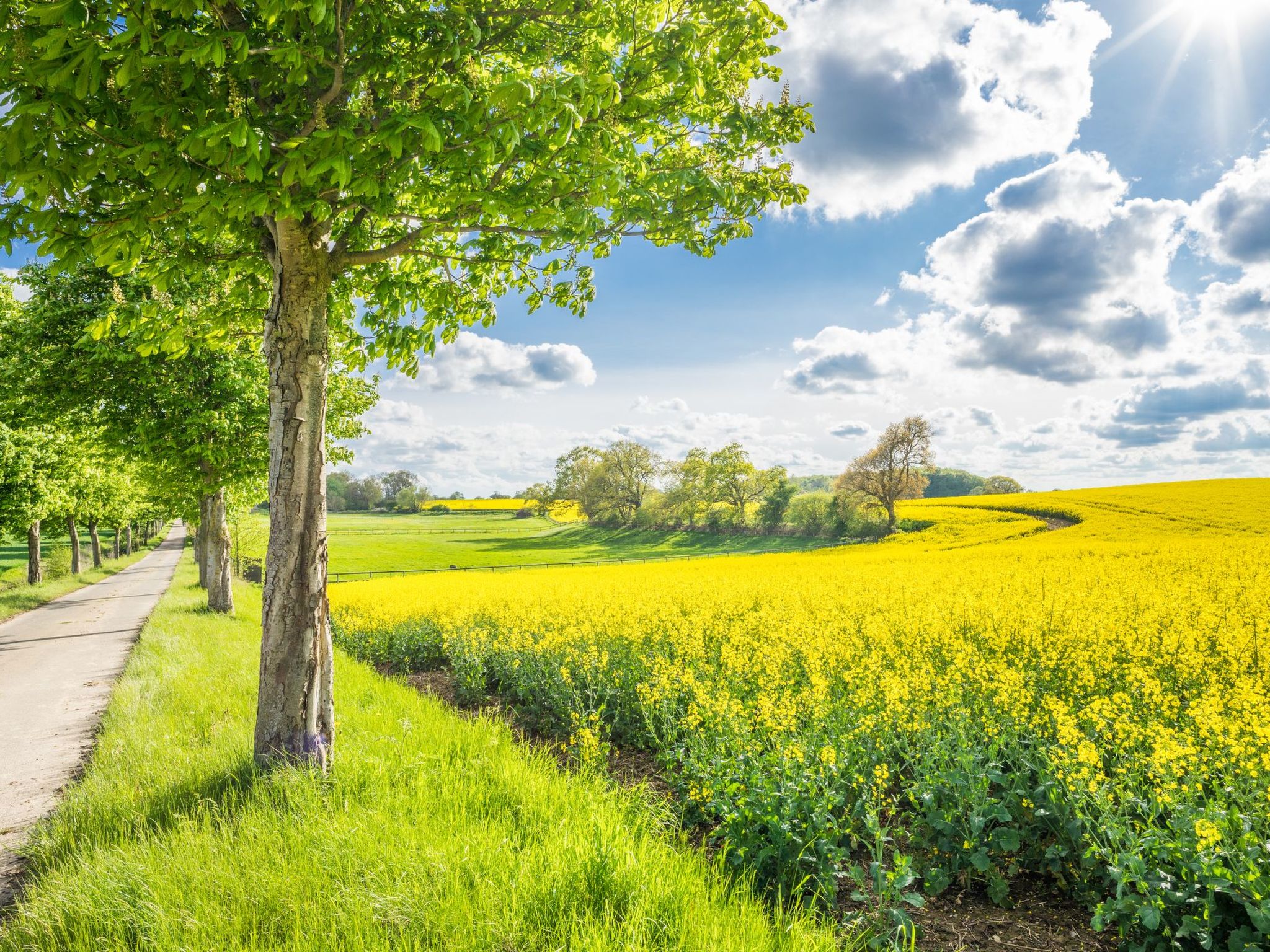 Hey Beachvilla-Image-tags.info