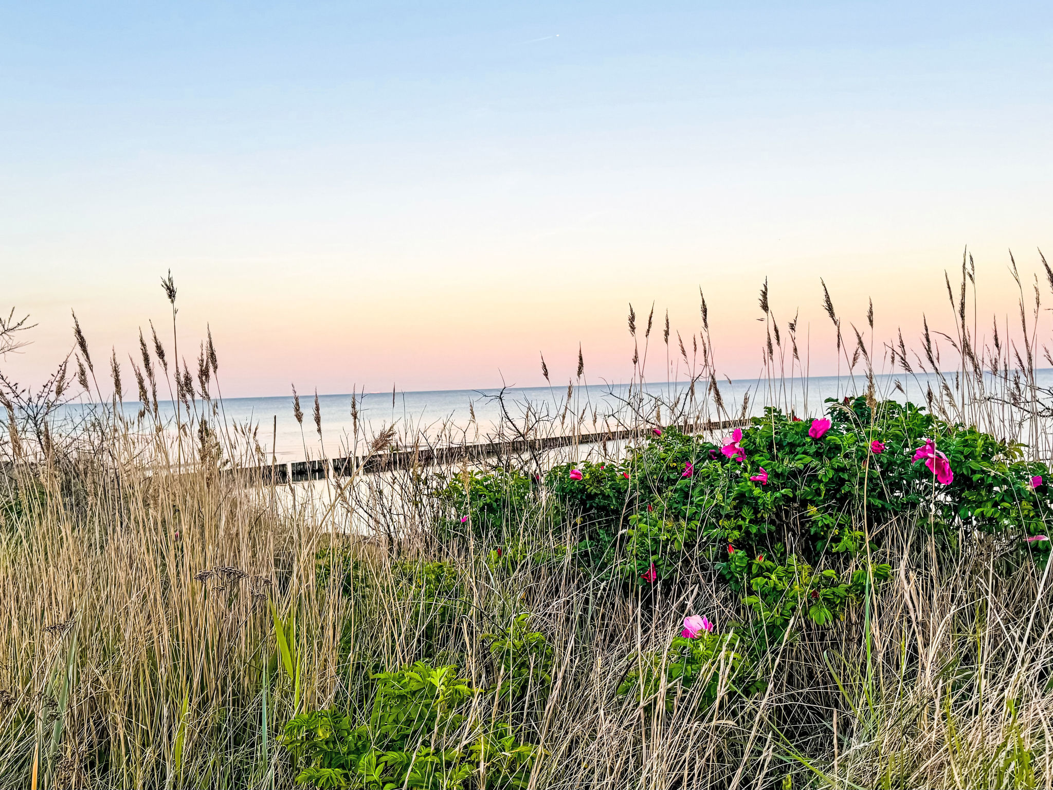 Strandvilla am Meer - Buiten