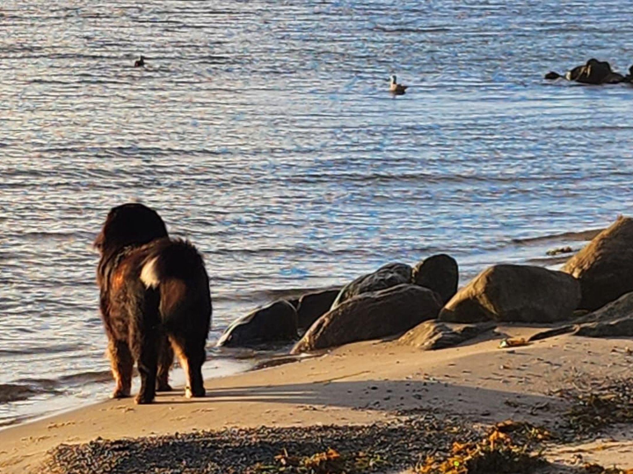 Strandvilla am Meer-Binnen