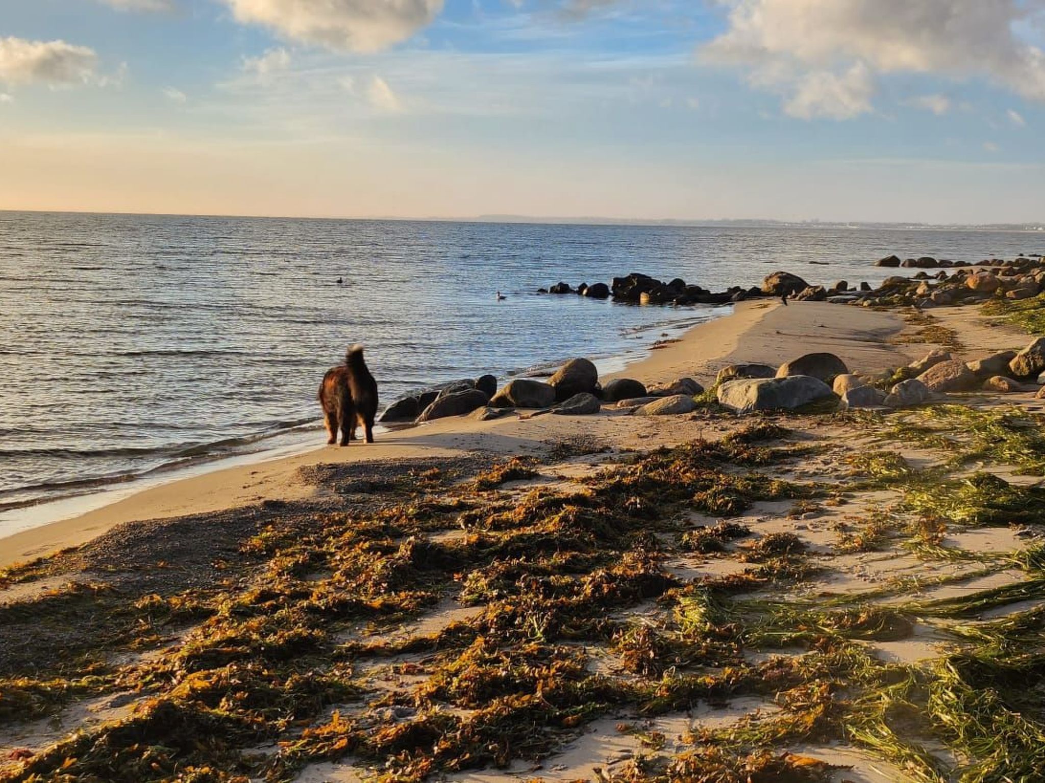 Strandvilla am Meer-Binnen