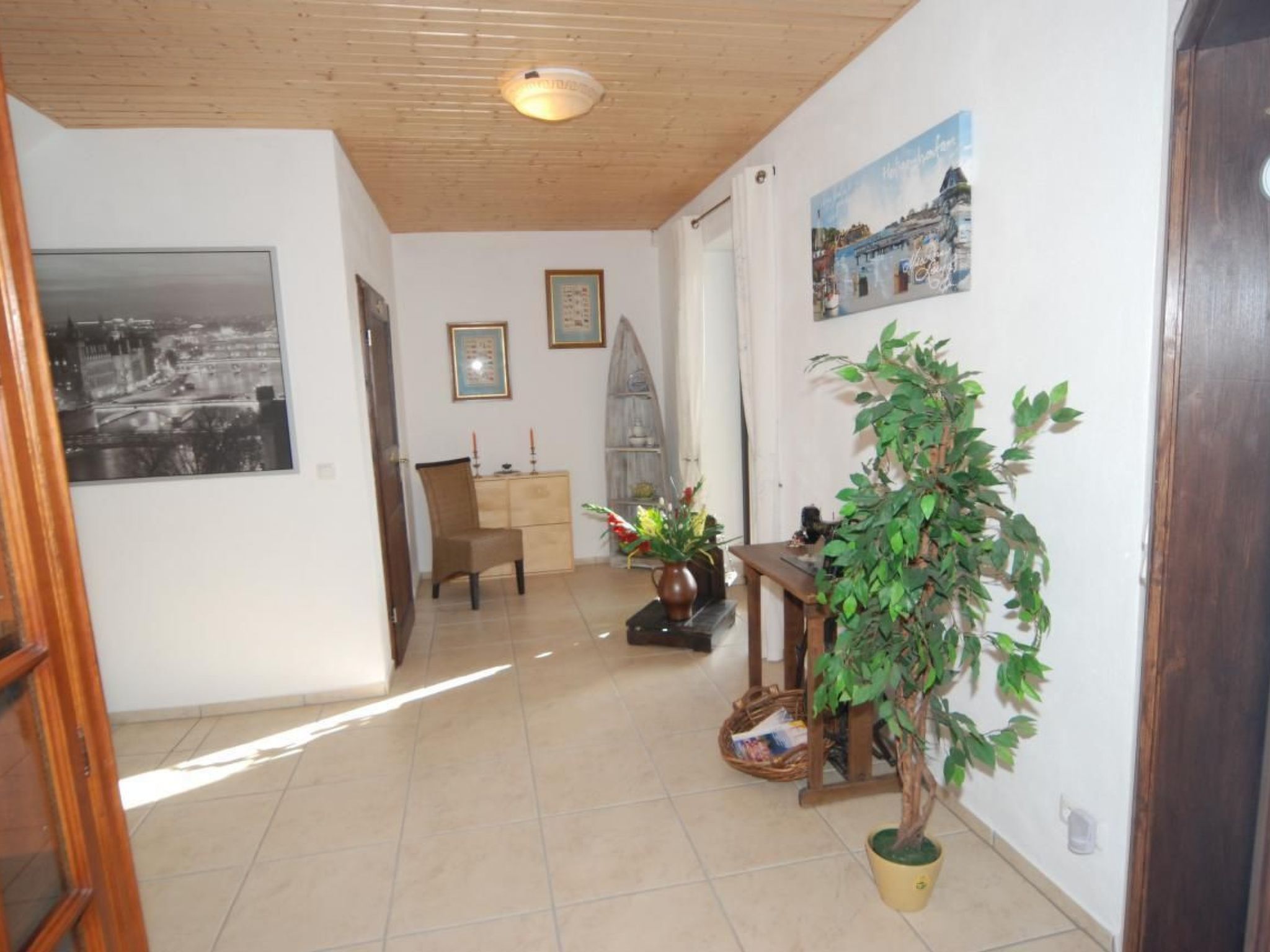 Muschel-Image-tags.info