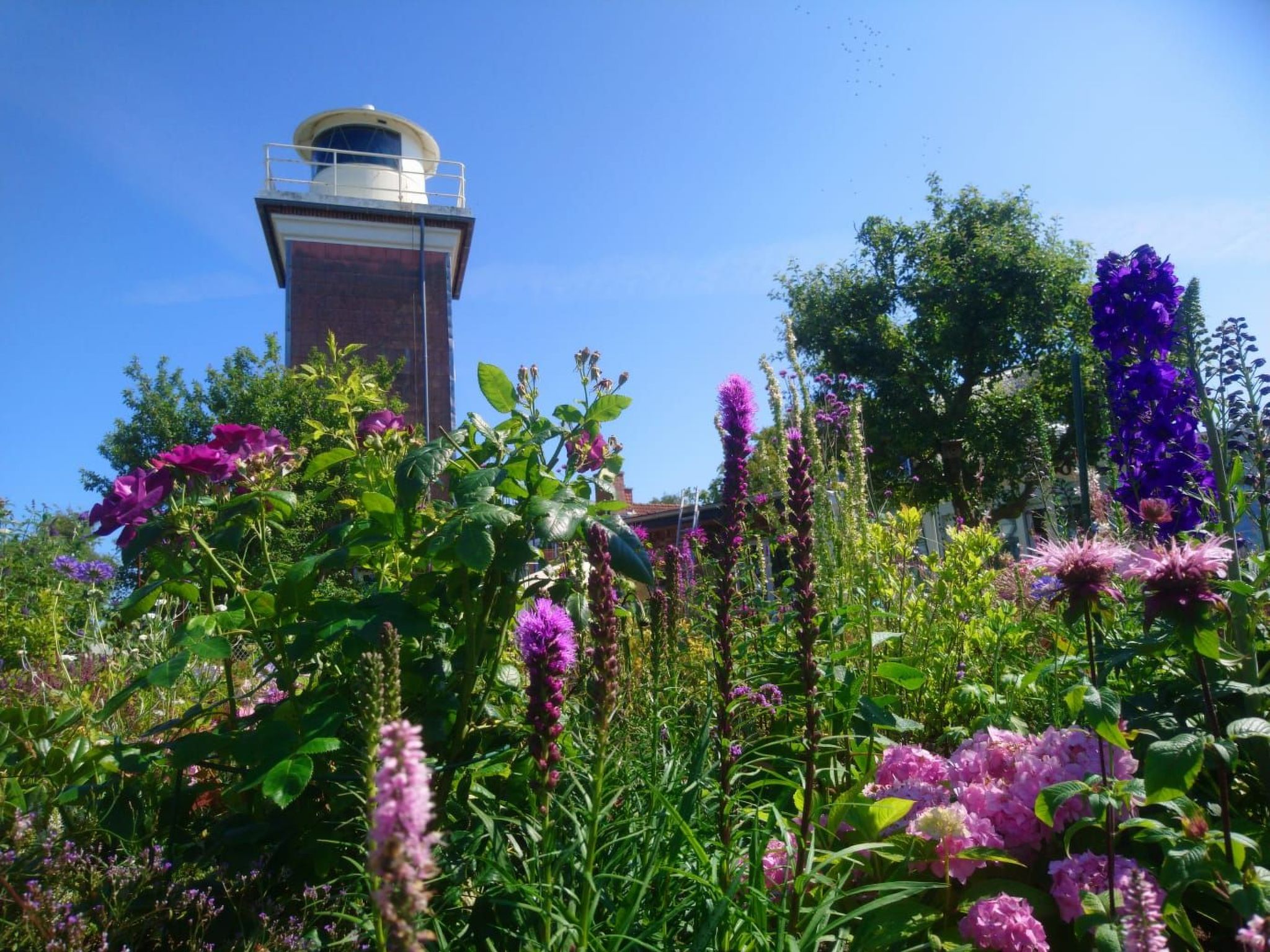 Apartment im Leuchtturmwärterhäuschen-Binnen