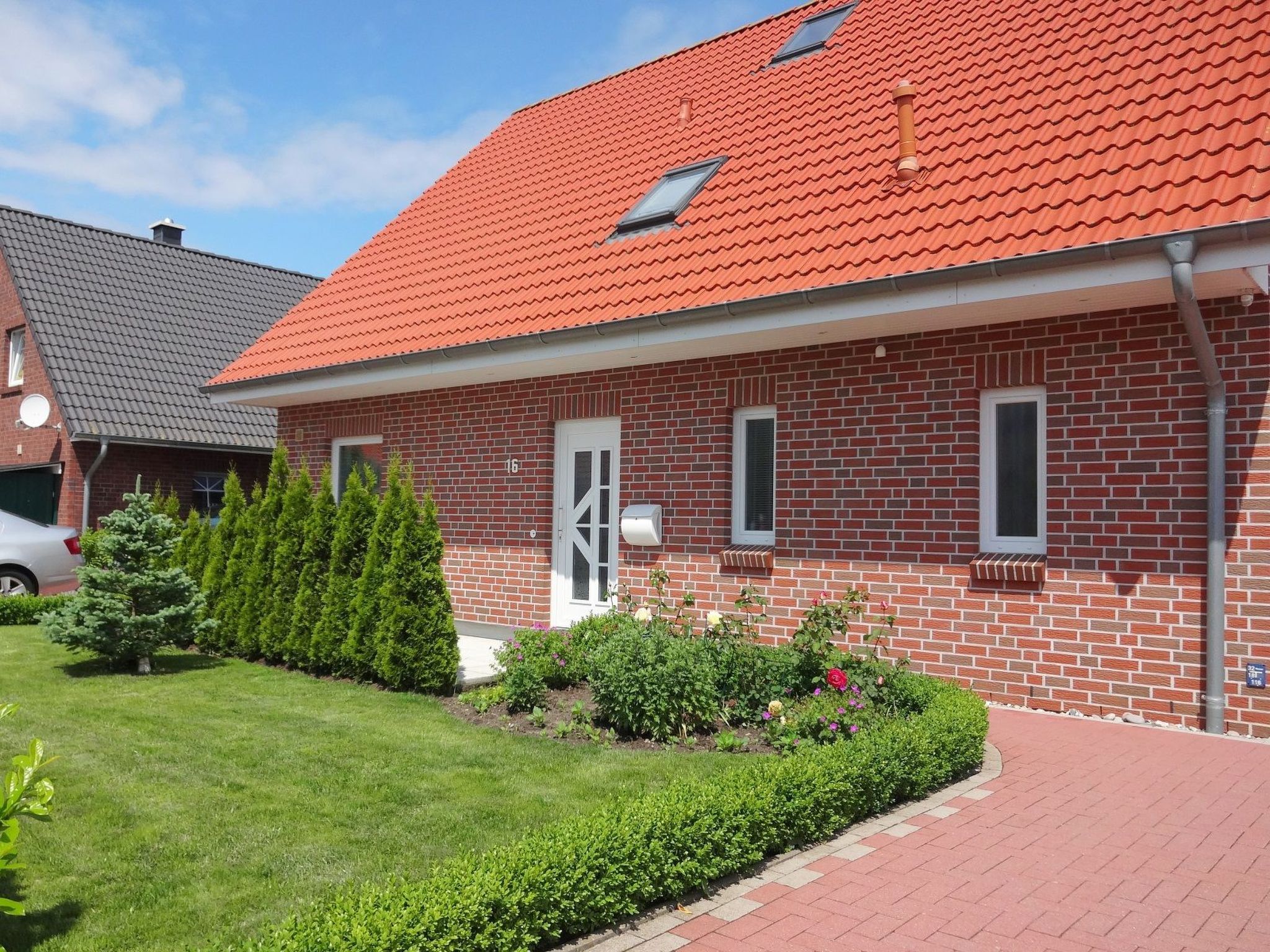 Rotkehlchen