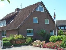 Heringsmöwe in Neue Tiefe