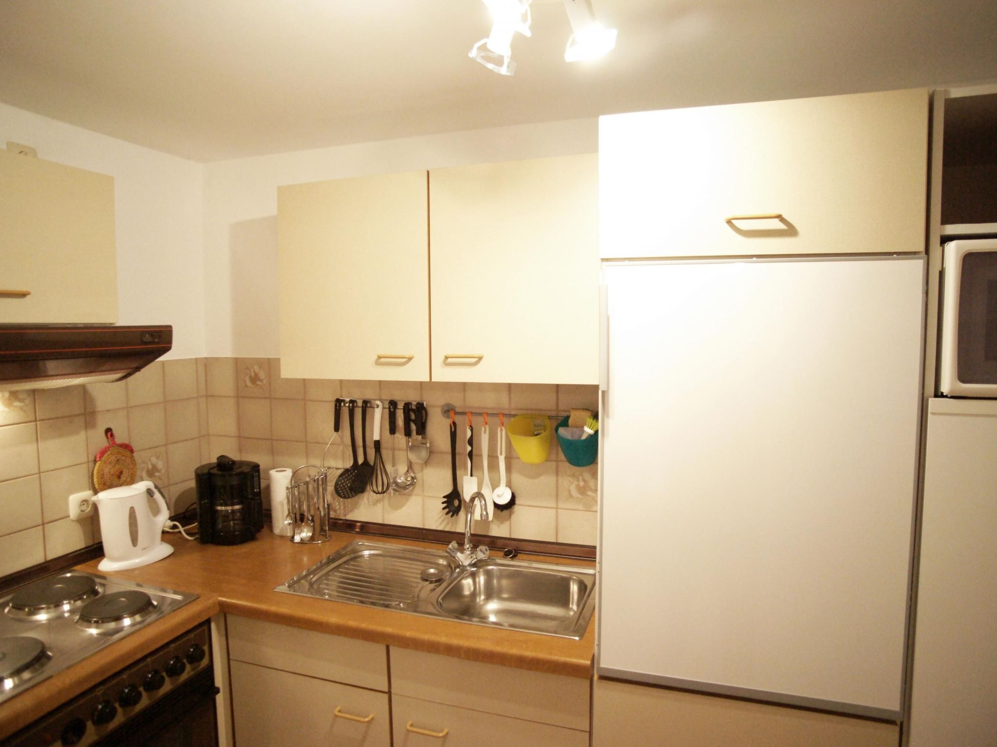 Heringsmöwe in Neue Tiefe-Binnen