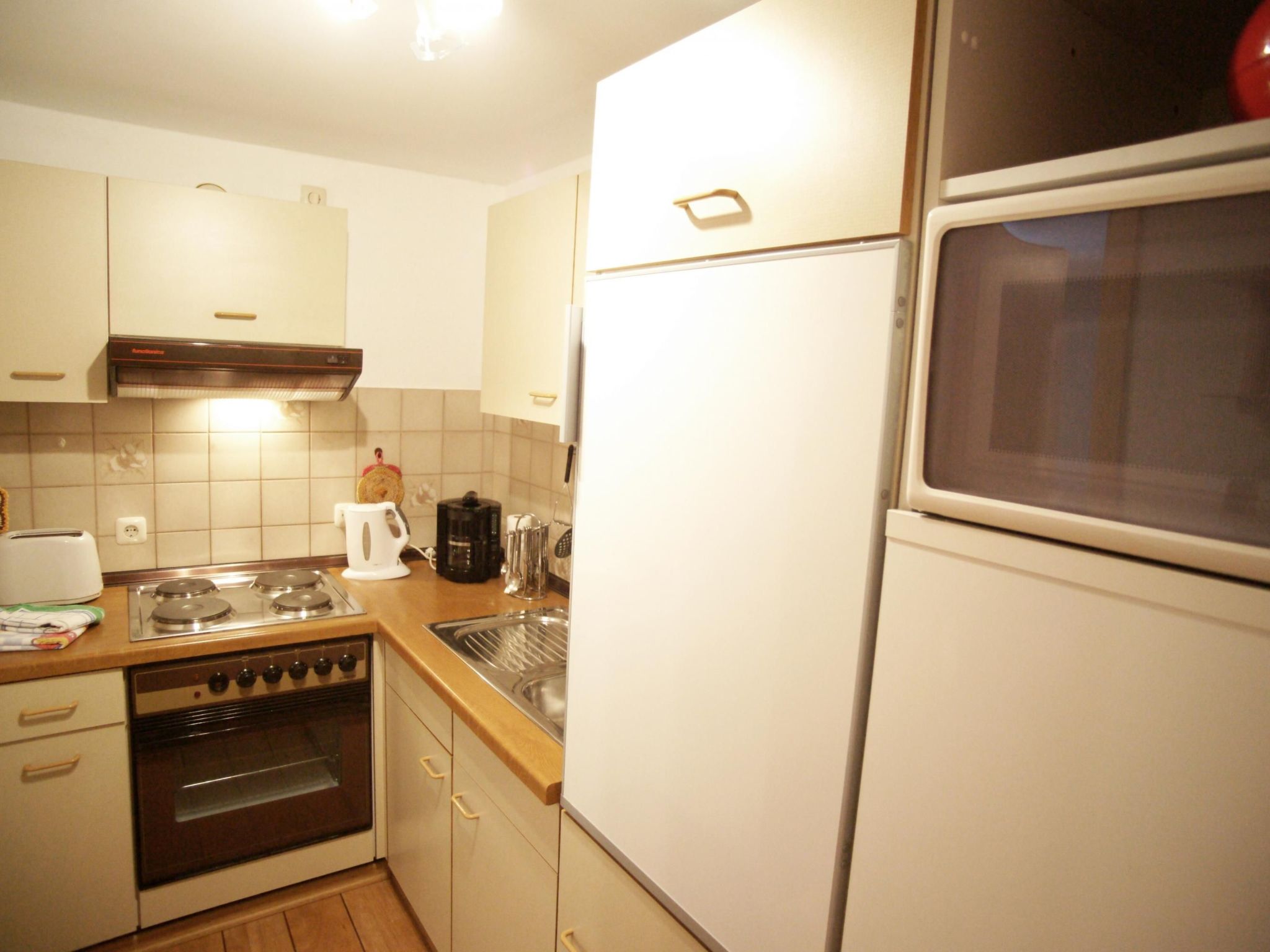 Heringsmöwe in Neue Tiefe-Binnen