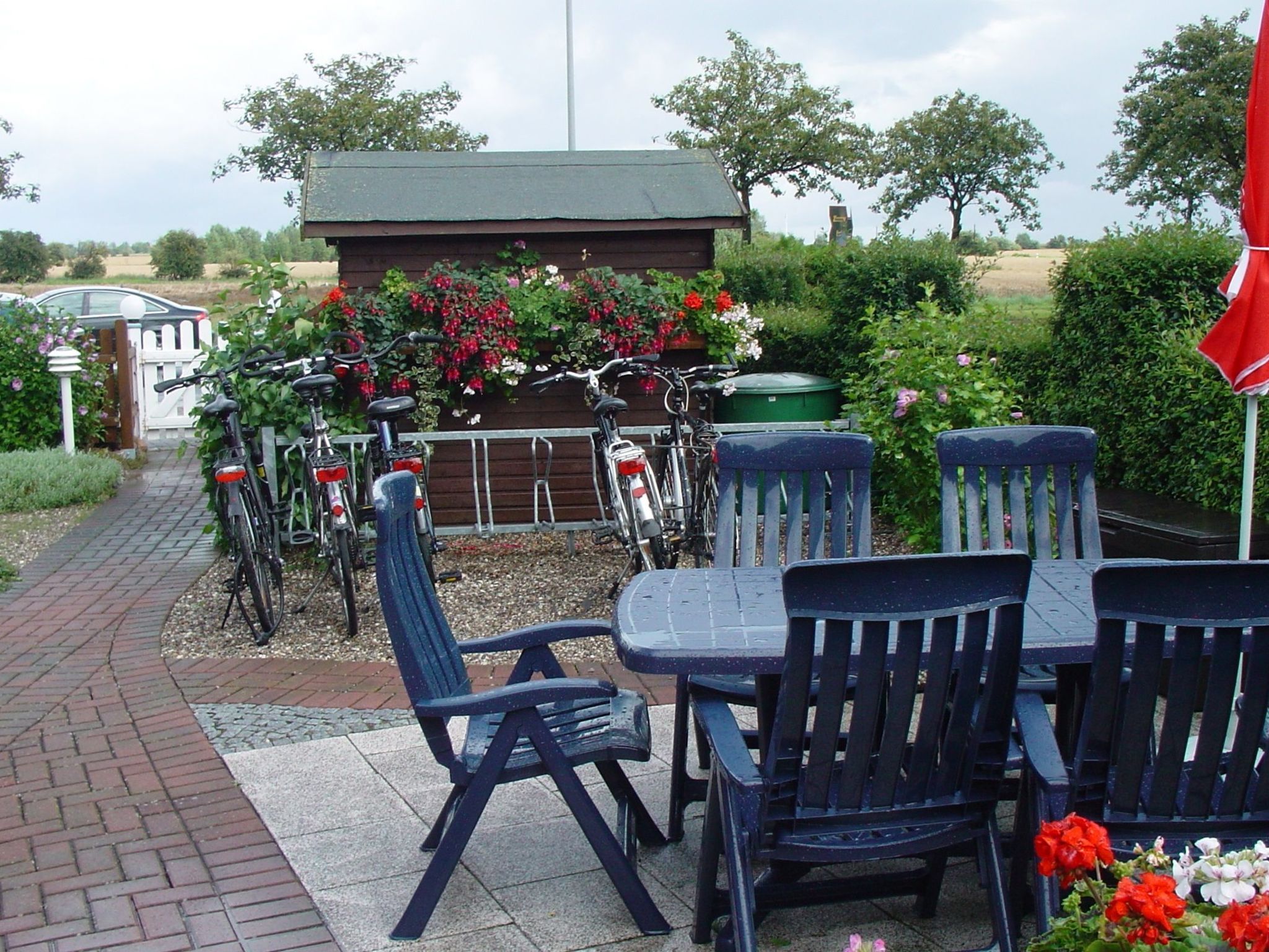 Heringsmöwe in Neue Tiefe-Binnen