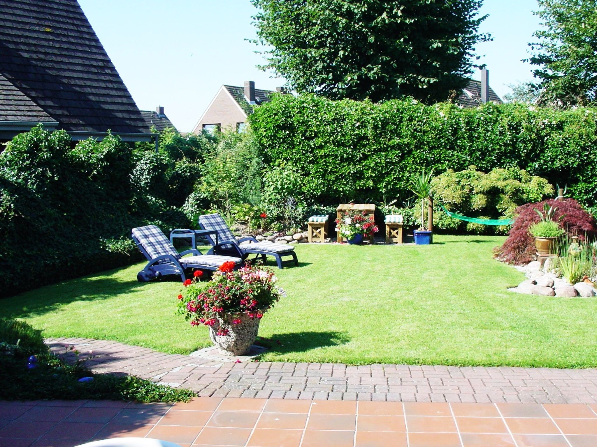 Heringsmöwe in Neue Tiefe-Binnen