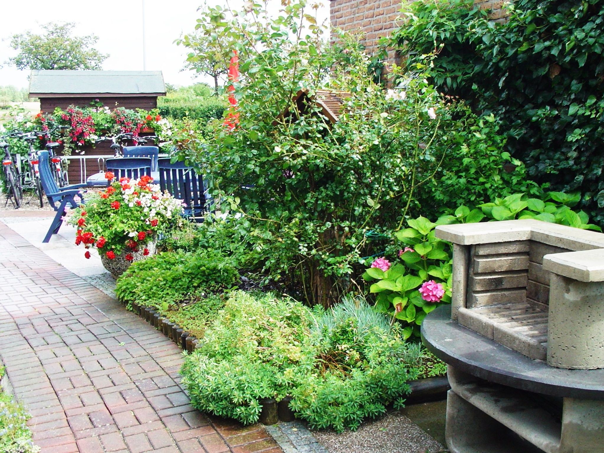 Heringsmöwe in Neue Tiefe-Binnen