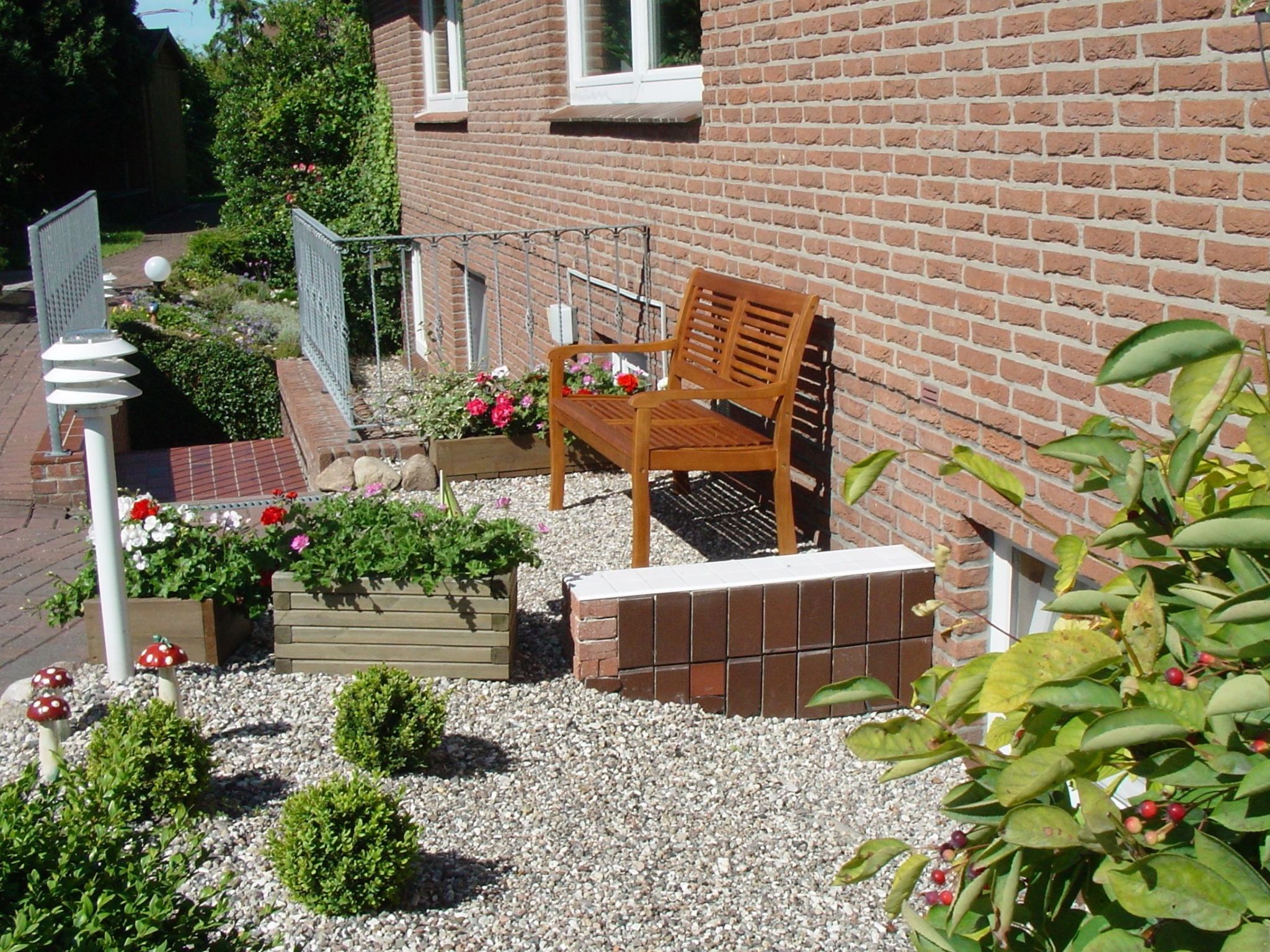 Heringsmöwe in Neue Tiefe-Binnen