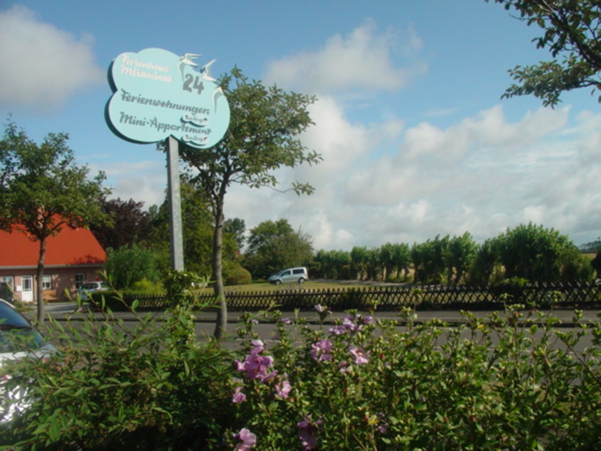 Heringsmöwe in Neue Tiefe-Binnen