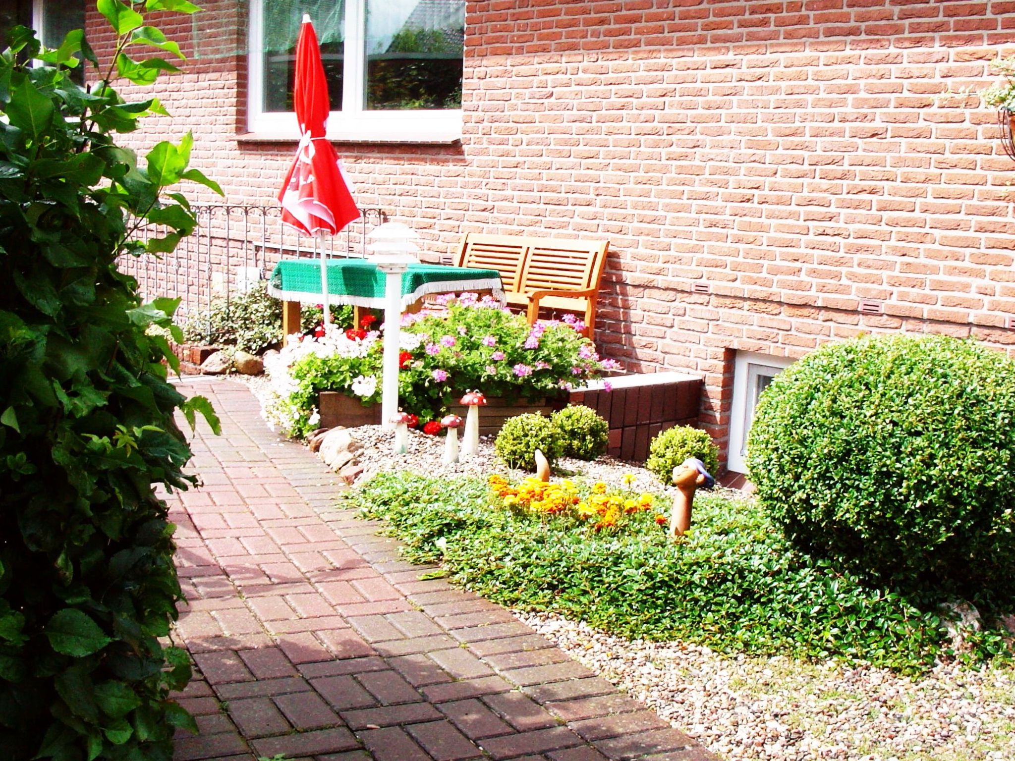 Heringsmöwe in Neue Tiefe-Binnen