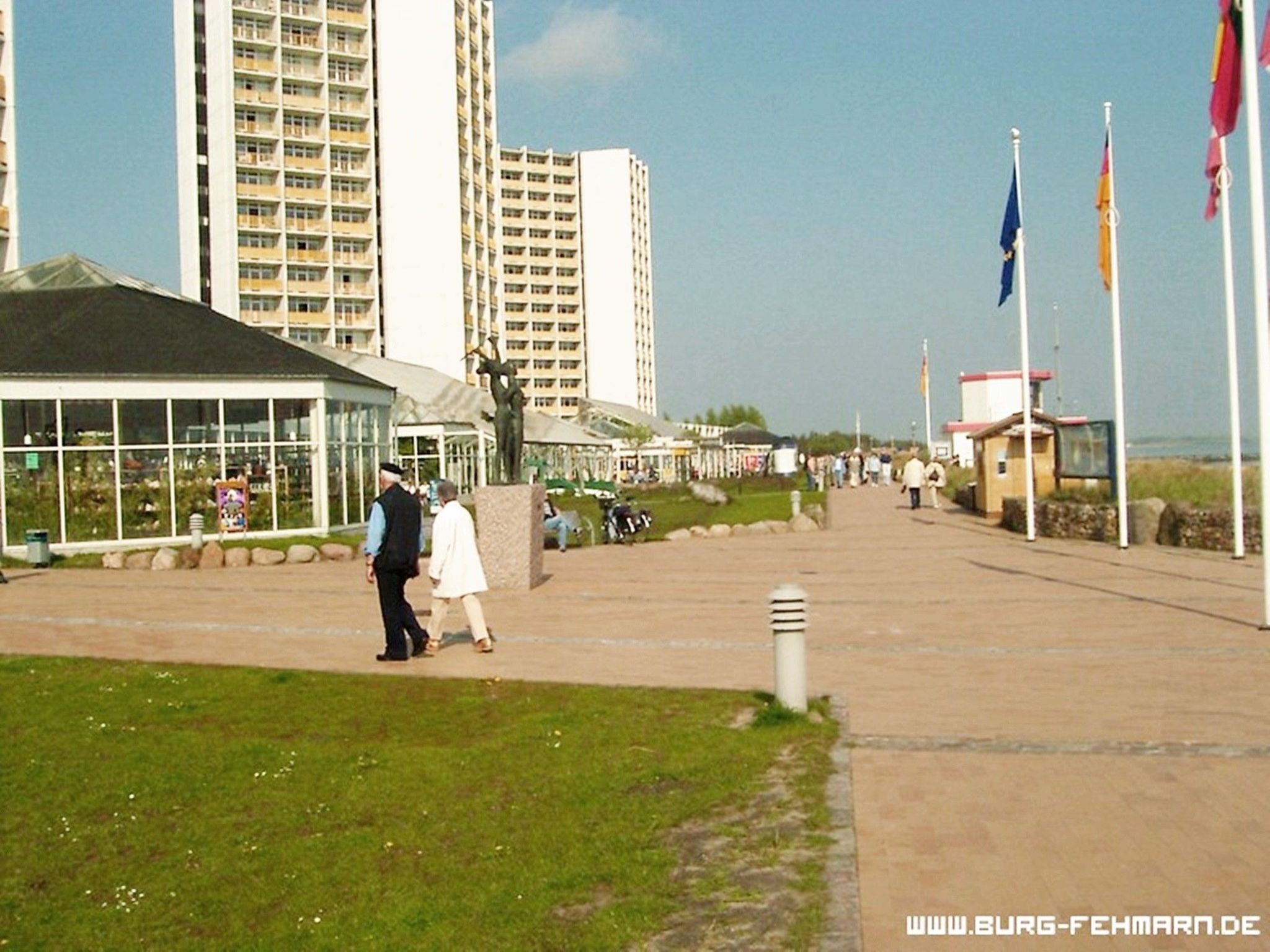 Heringsmöwe in Neue Tiefe-Binnen