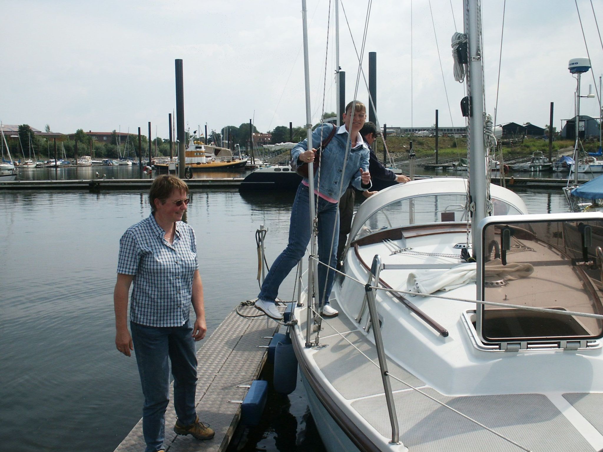 Heringsmöwe in Neue Tiefe-Binnen