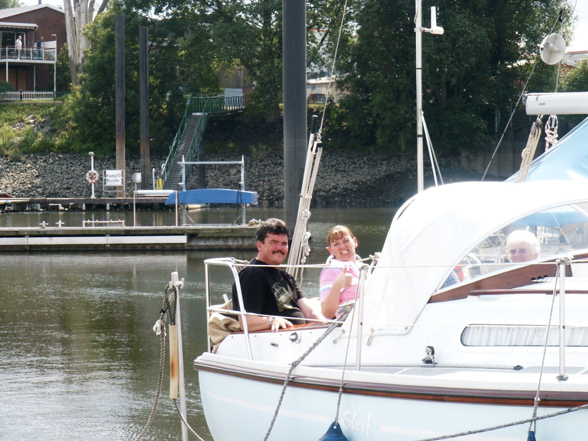 Heringsmöwe in Neue Tiefe-Binnen