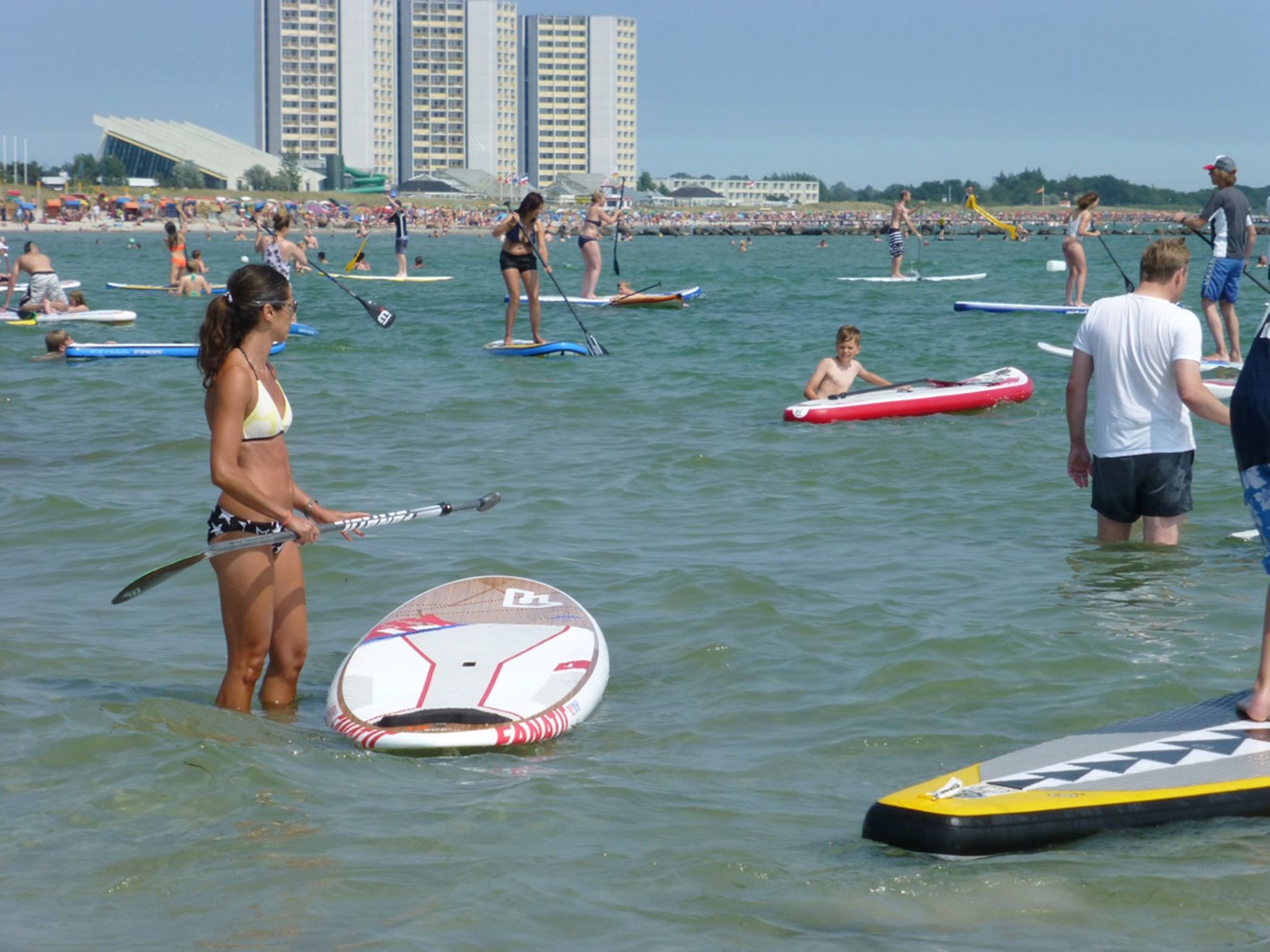 Heringsmöwe in Neue Tiefe-Binnen