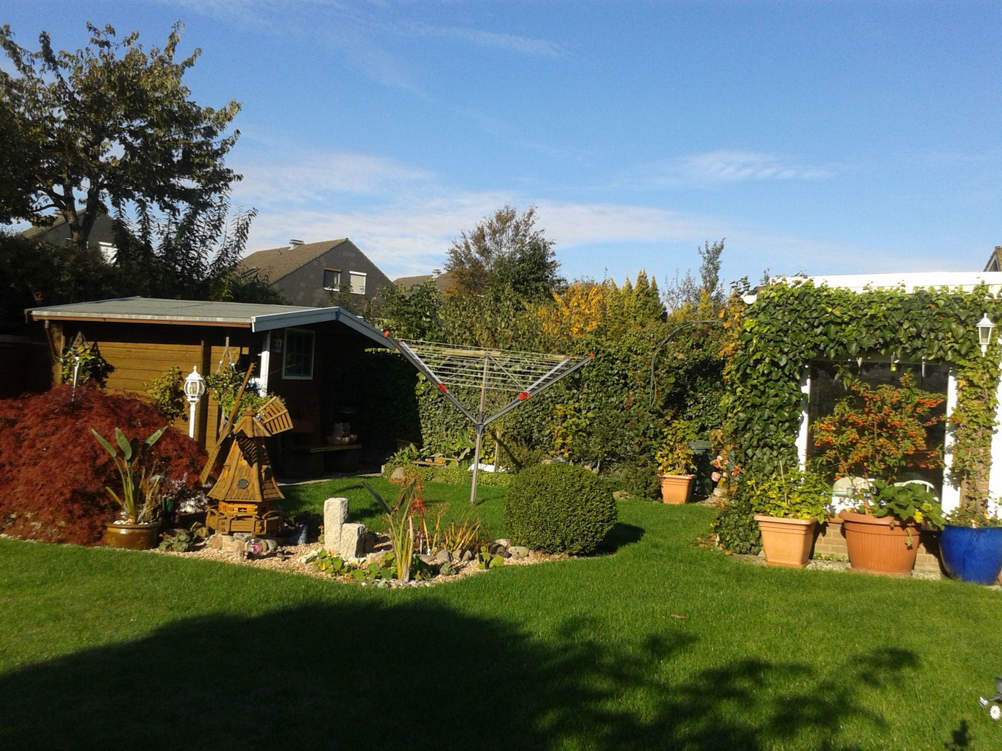 Heringsmöwe in Neue Tiefe-Binnen