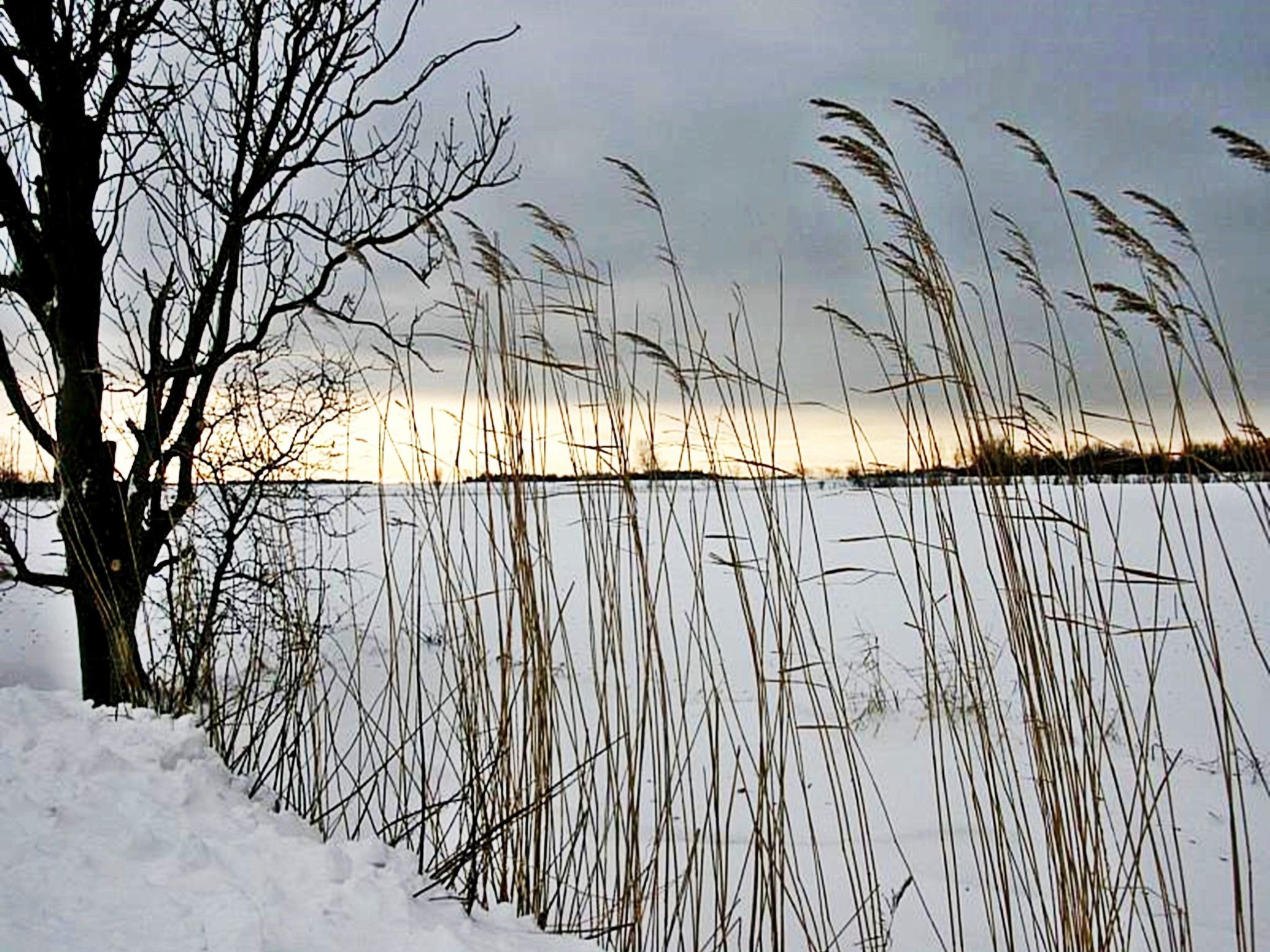 Für vier Personen-Binnen