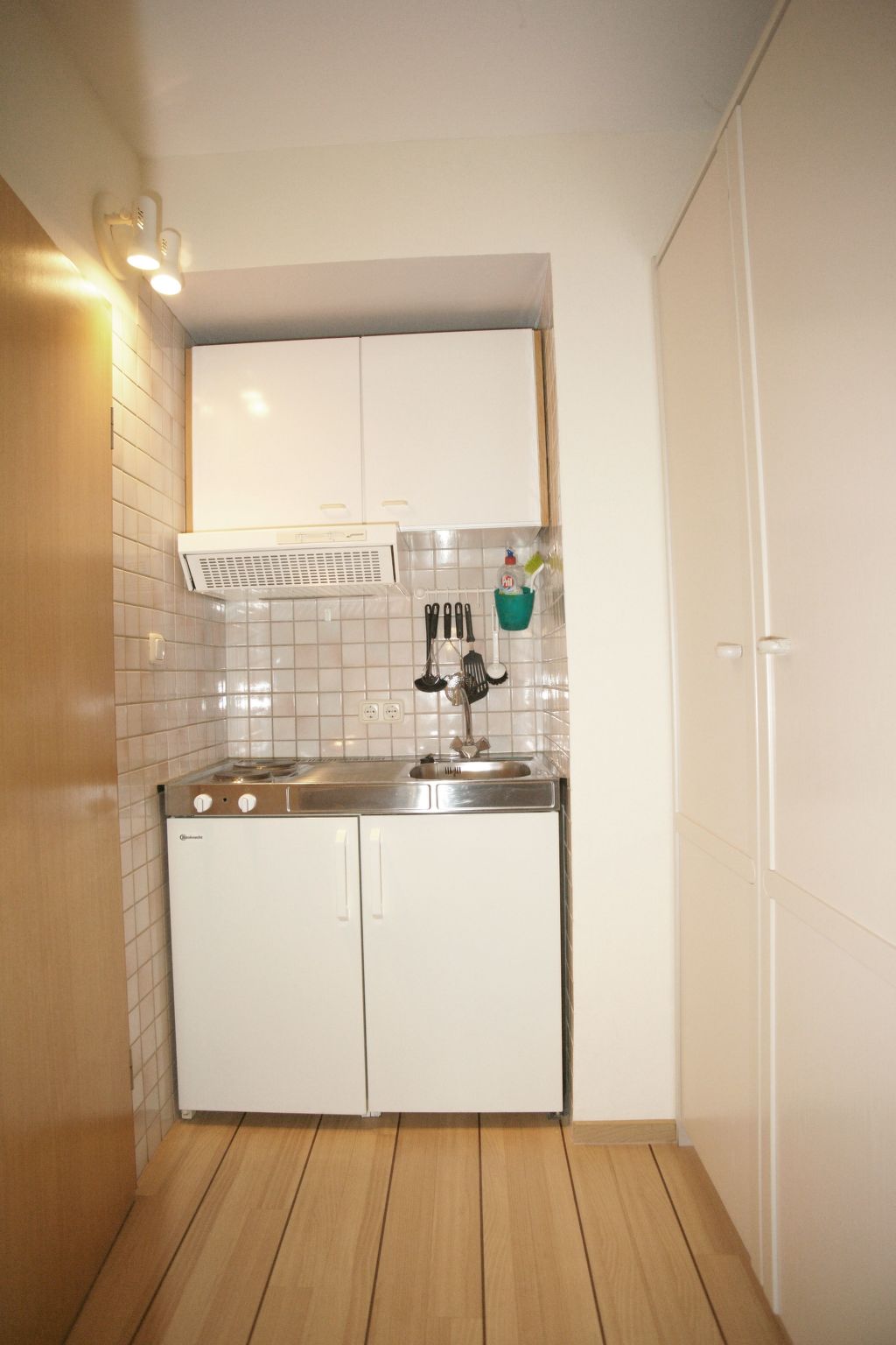 Zwergmöwe in Neue Tiefe-Binnen