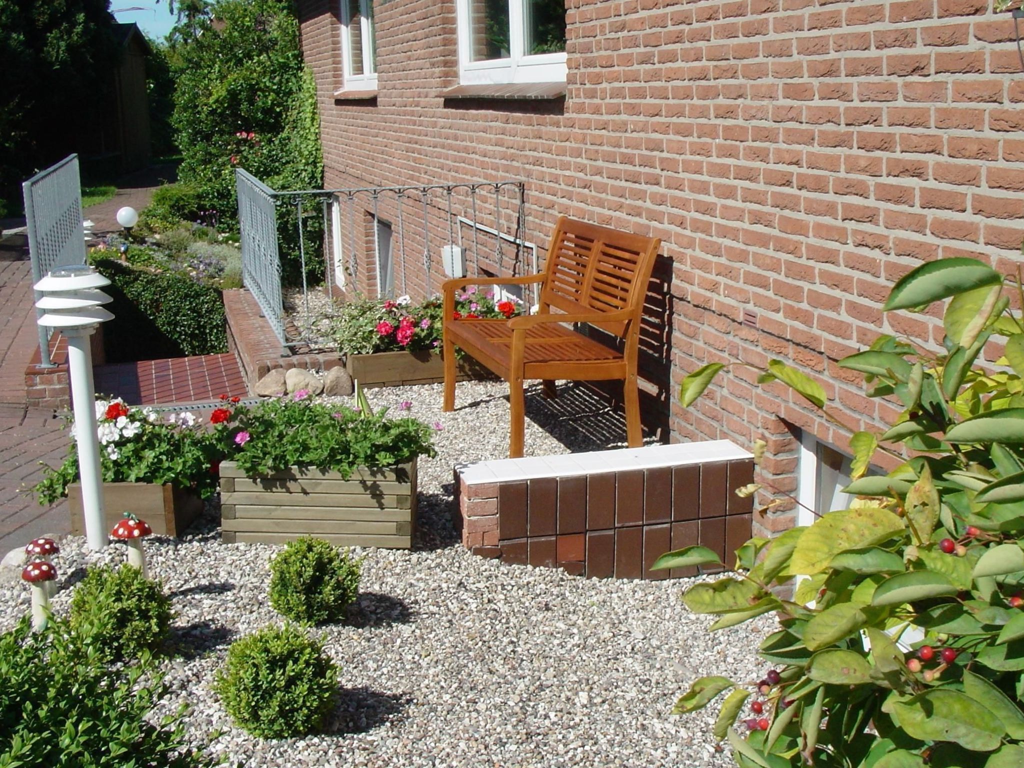 Zwergmöwe in Neue Tiefe-Binnen