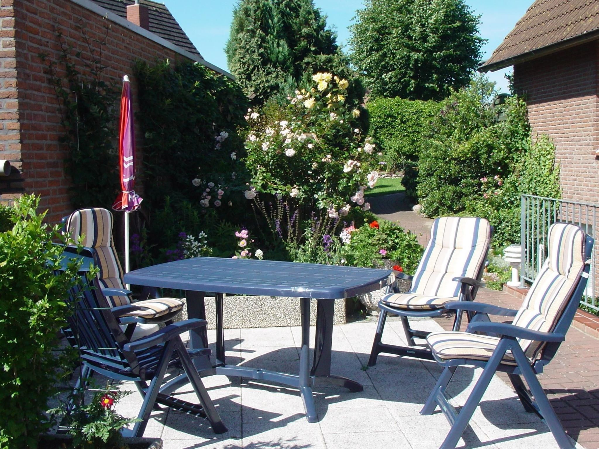 Zwergmöwe in Neue Tiefe-Binnen