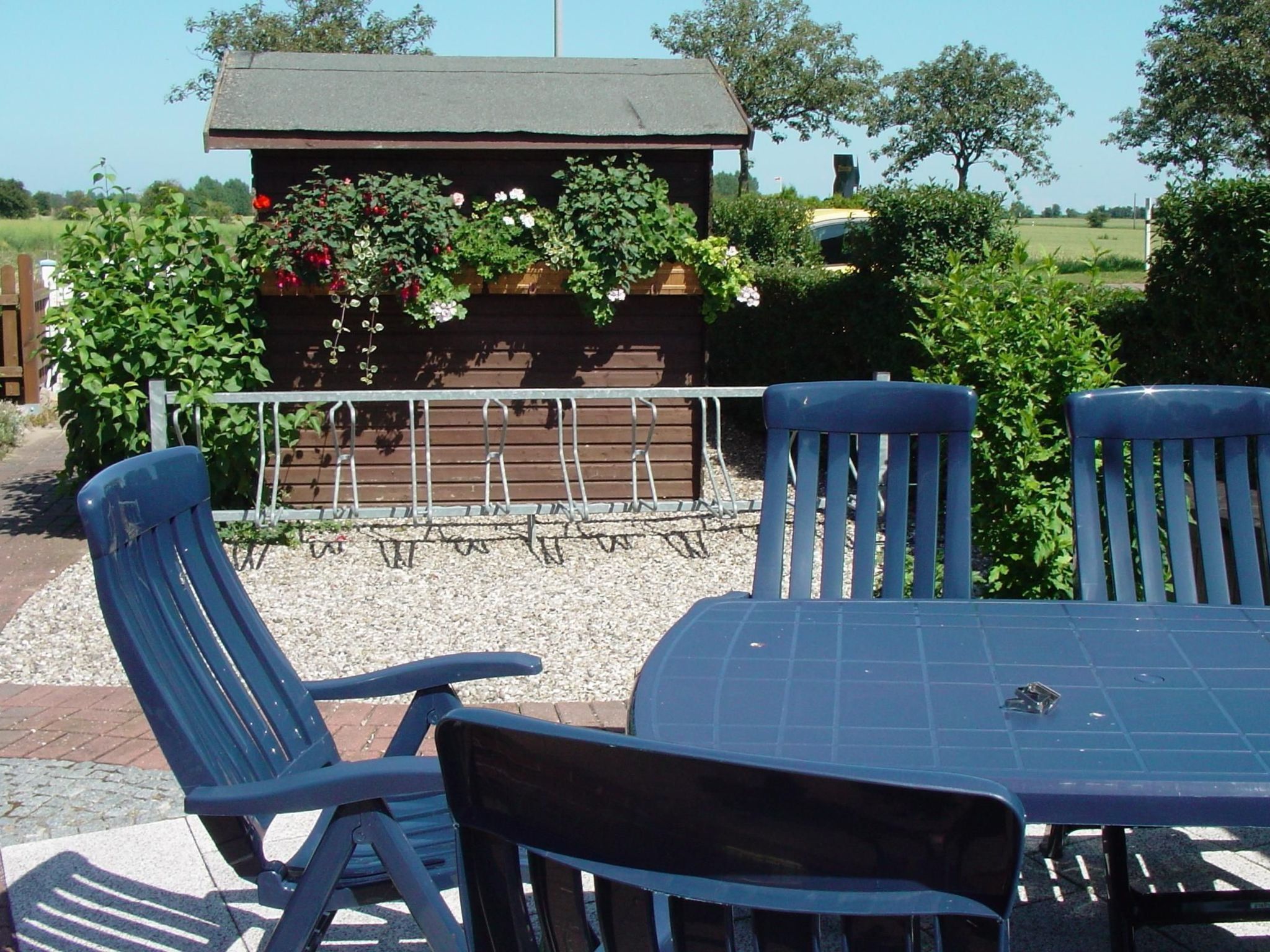 Zwergmöwe in Neue Tiefe-Binnen