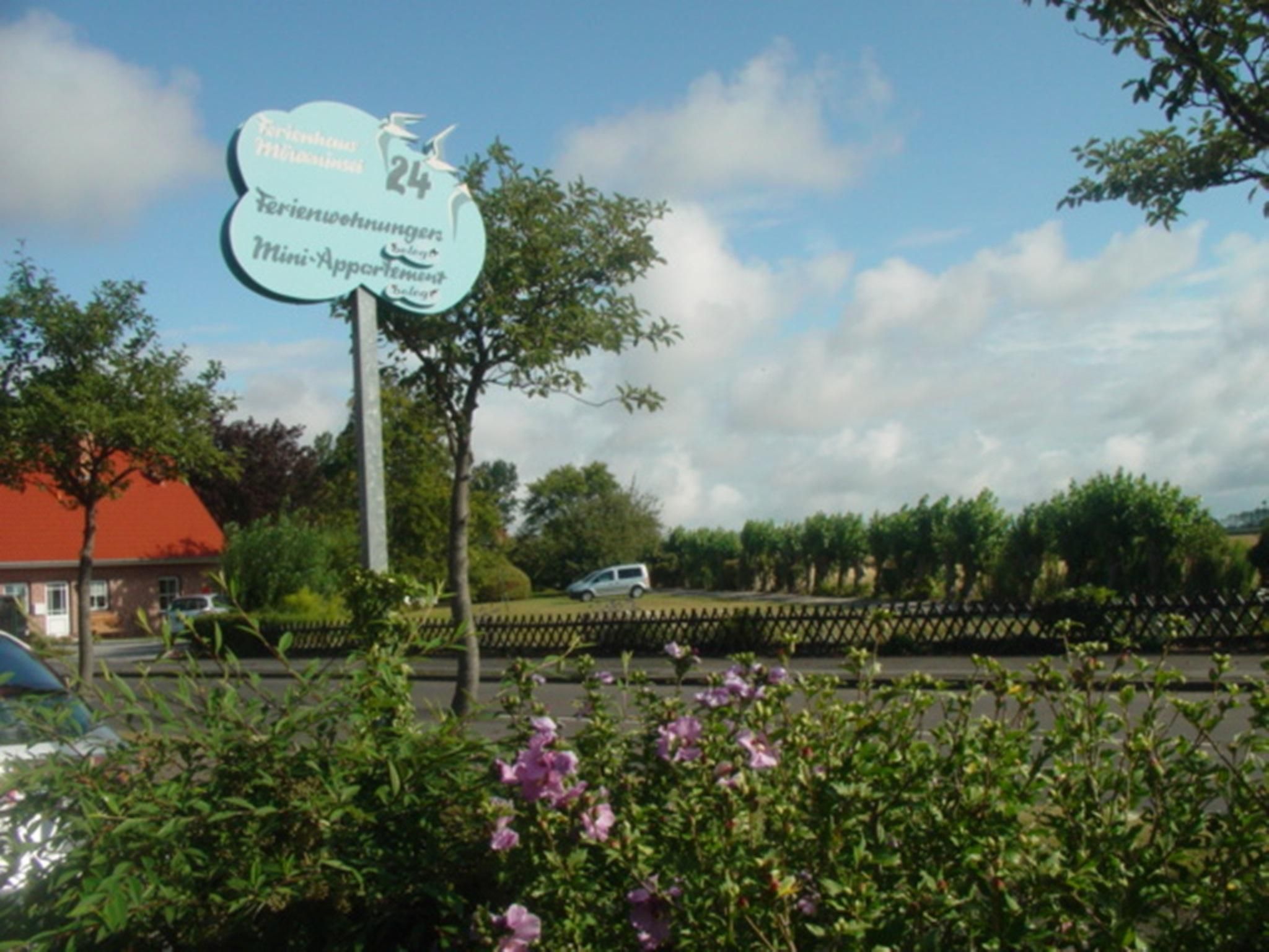 Zwergmöwe in Neue Tiefe-Binnen