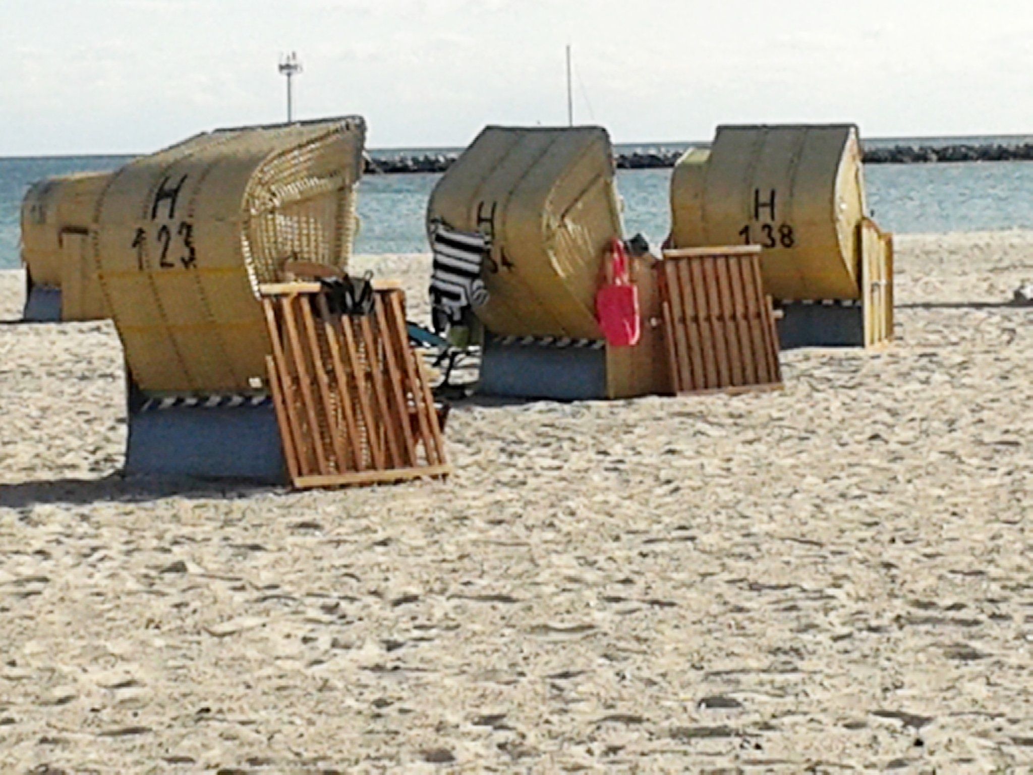 Zwergmöwe in Neue Tiefe-Binnen