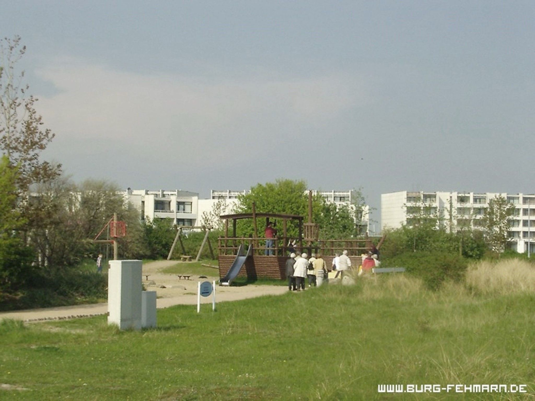 Zwergmöwe in Neue Tiefe-Binnen