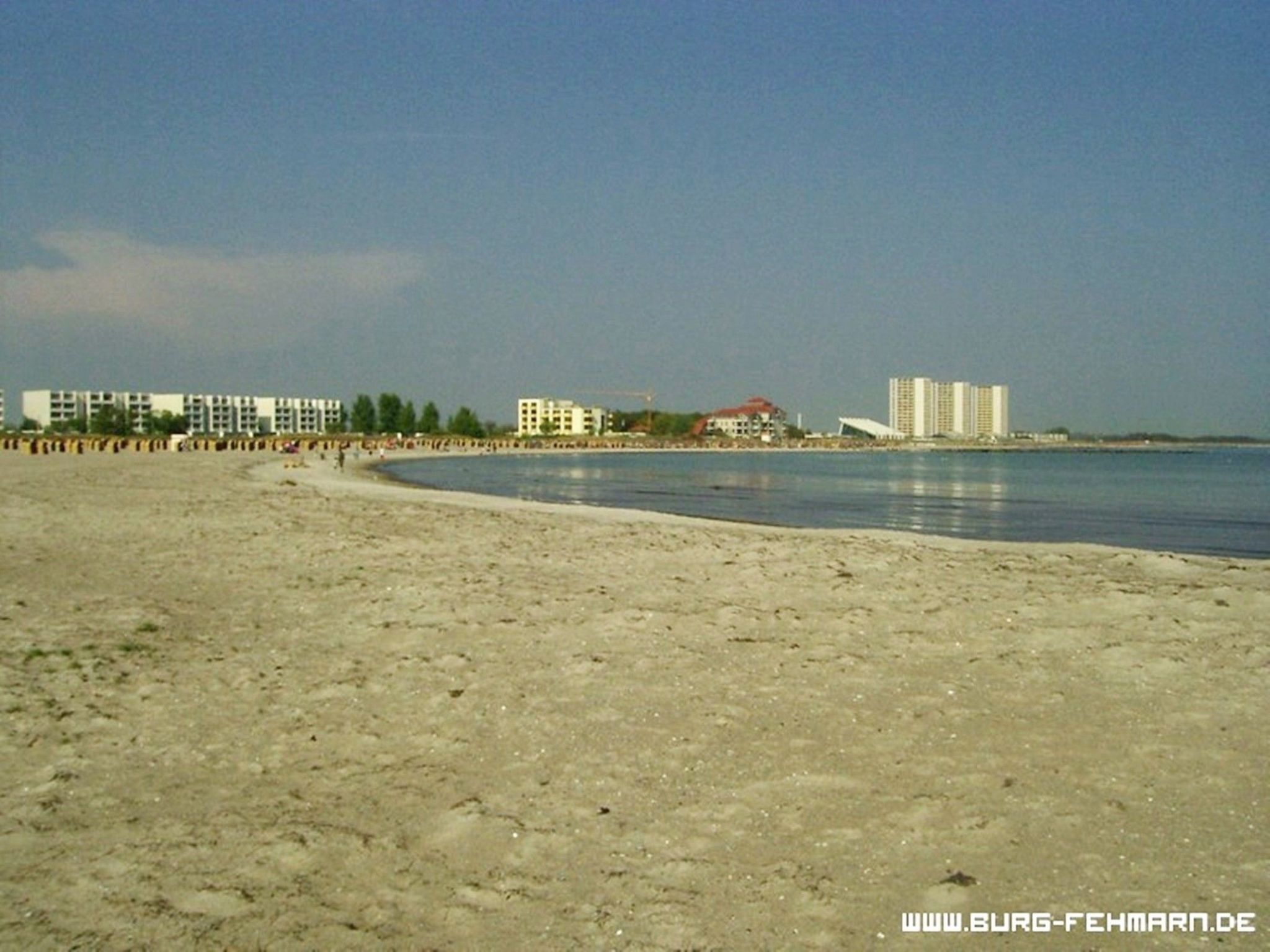 Zwergmöwe in Neue Tiefe-Binnen