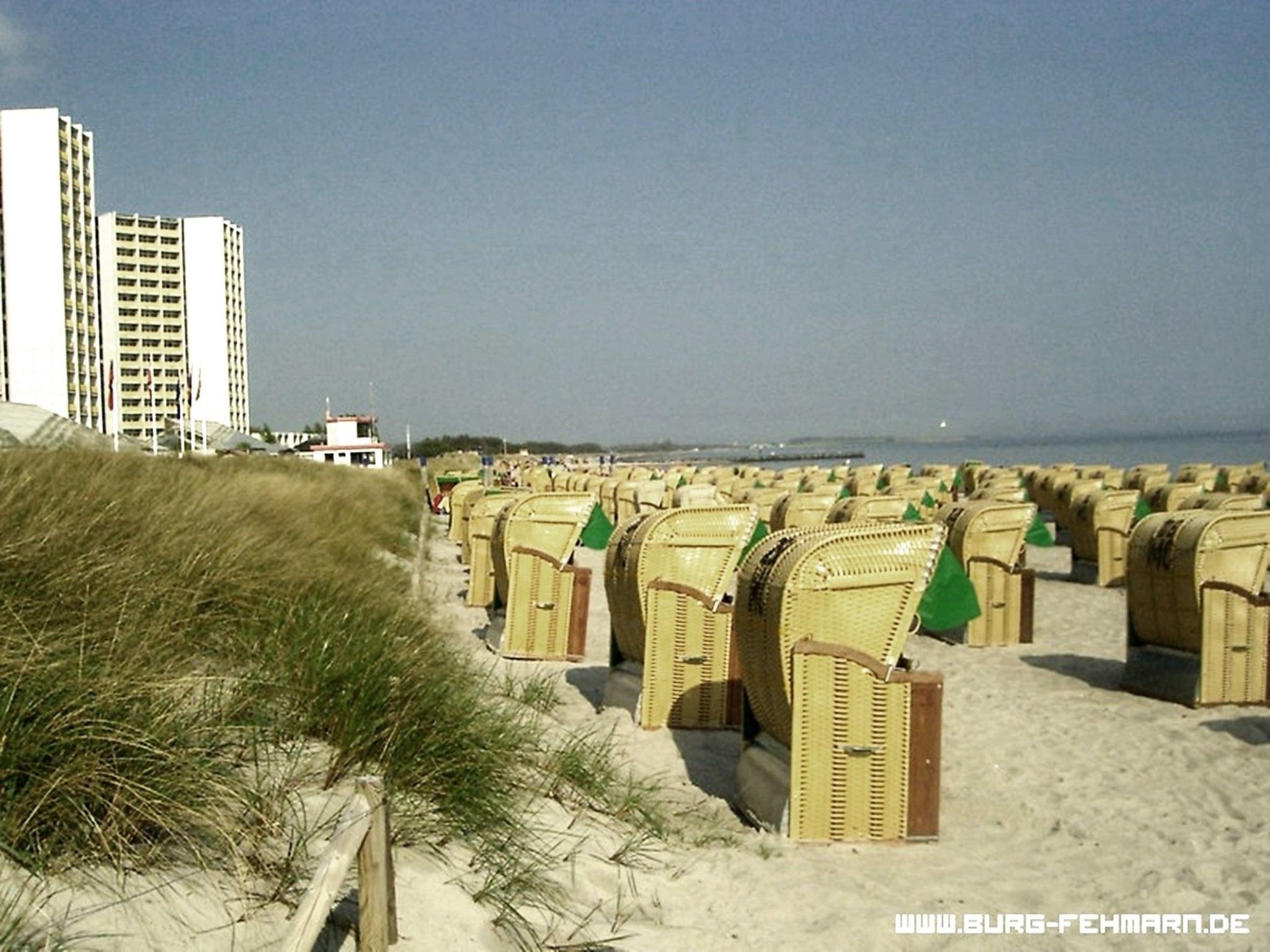 Zwergmöwe in Neue Tiefe-Binnen