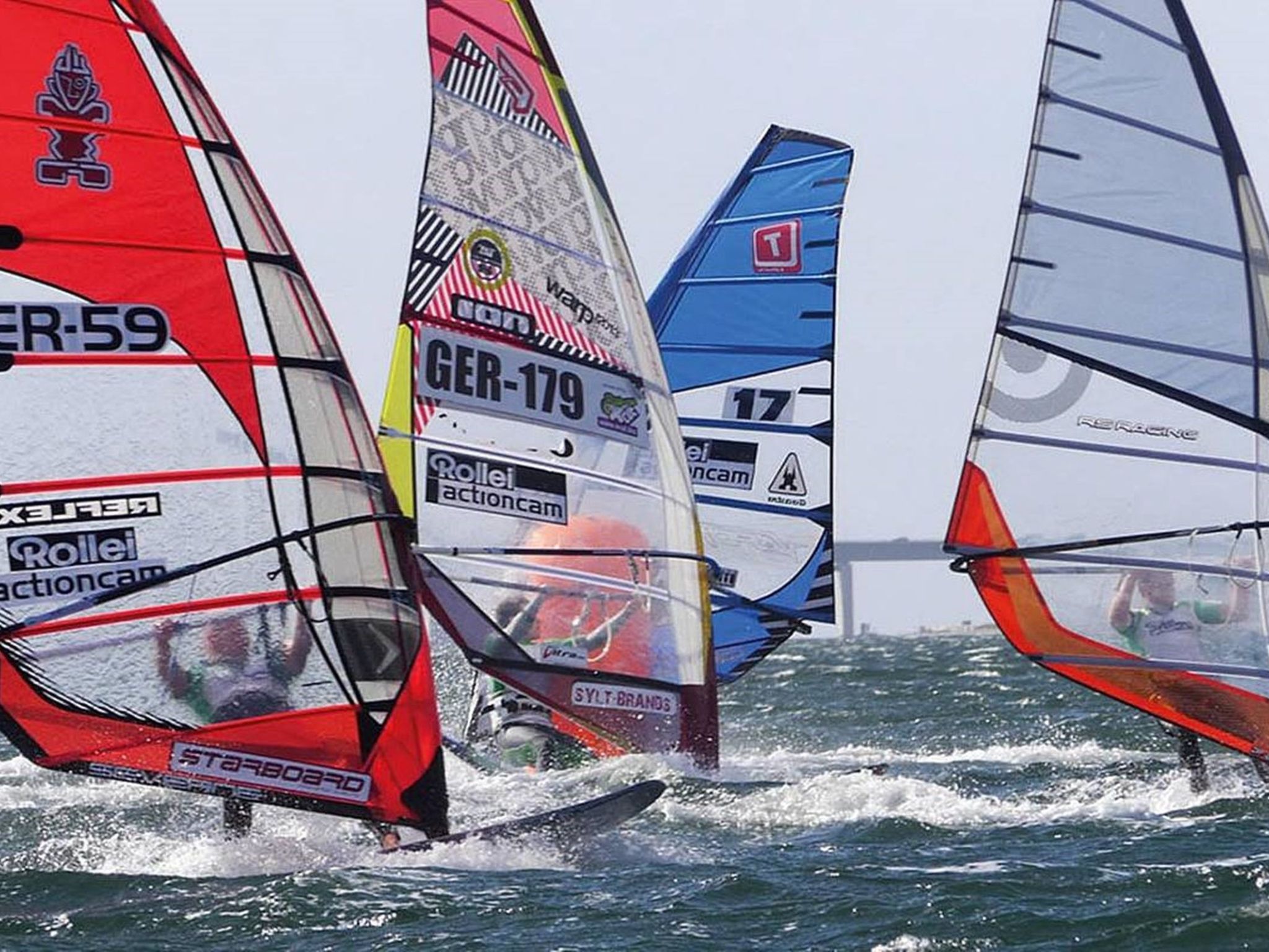 Zwergmöwe in Neue Tiefe-Binnen