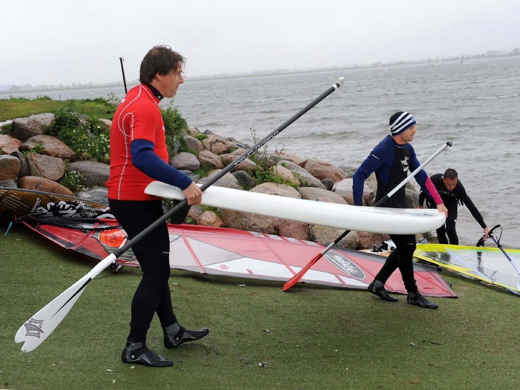 Zwergmöwe in Neue Tiefe-Binnen