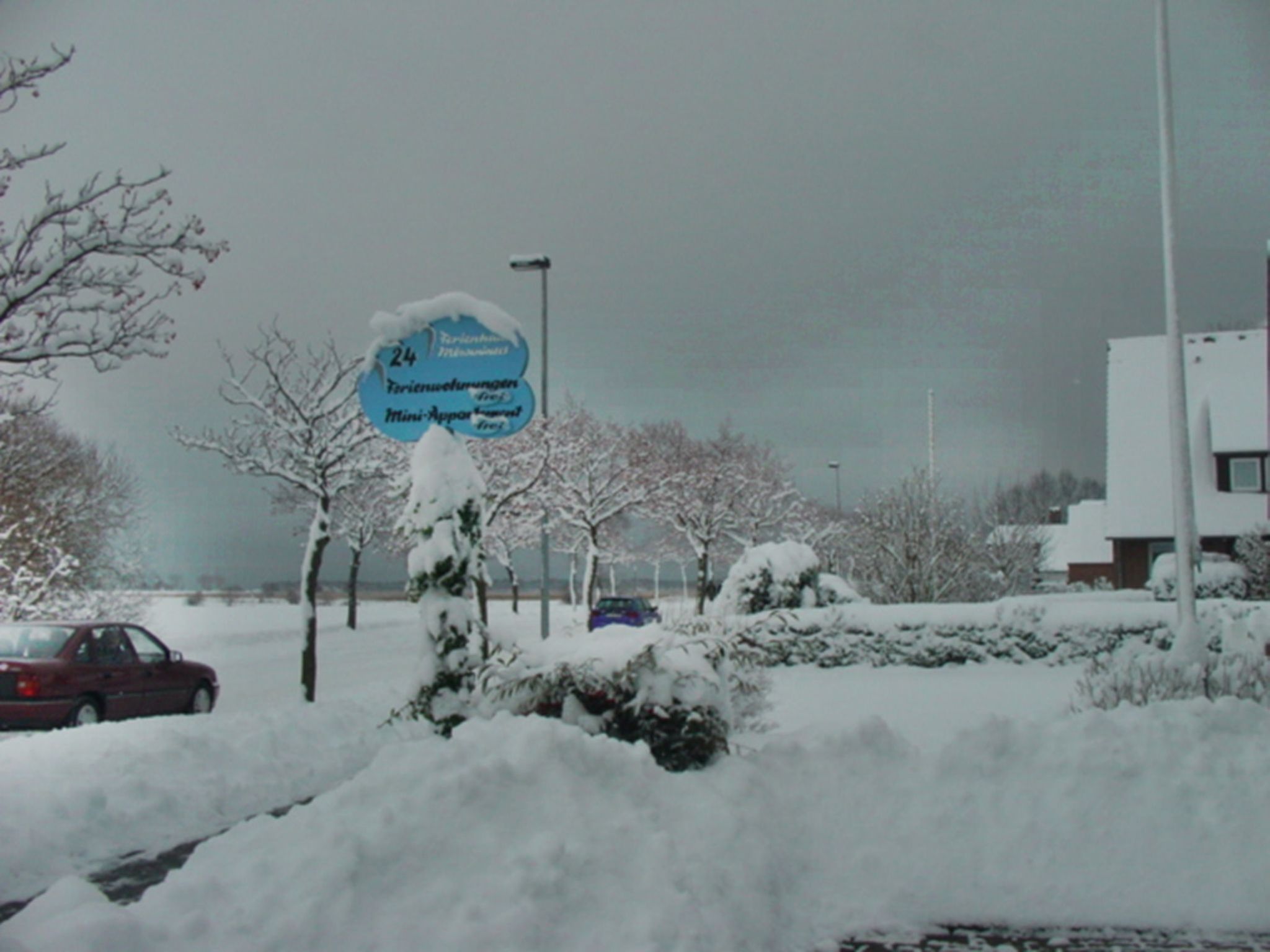 Zwergmöwe in Neue Tiefe-Binnen