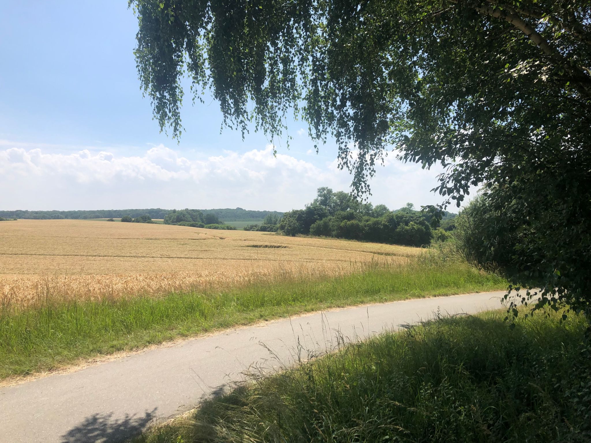 5* Wellness Oase-Image-tags.info