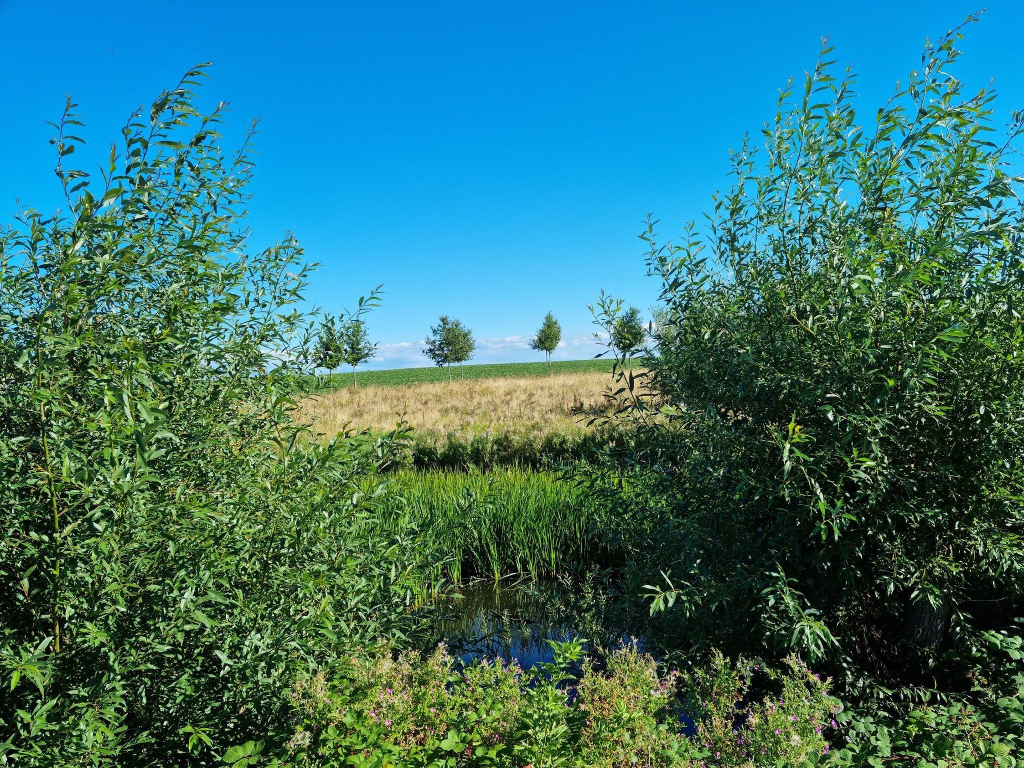 4 Jahreszeiten-Binnen