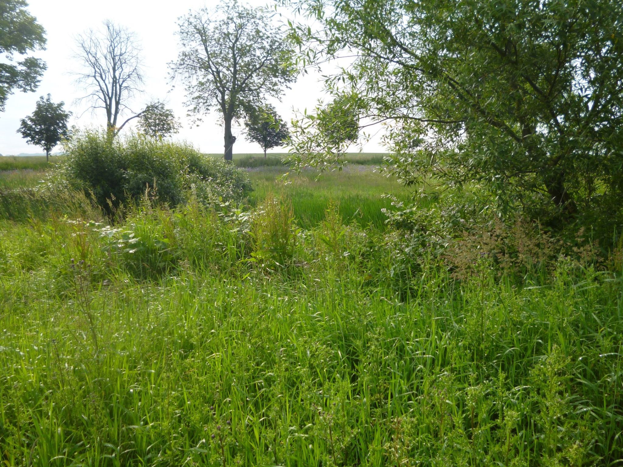 4 Jahreszeiten-Binnen