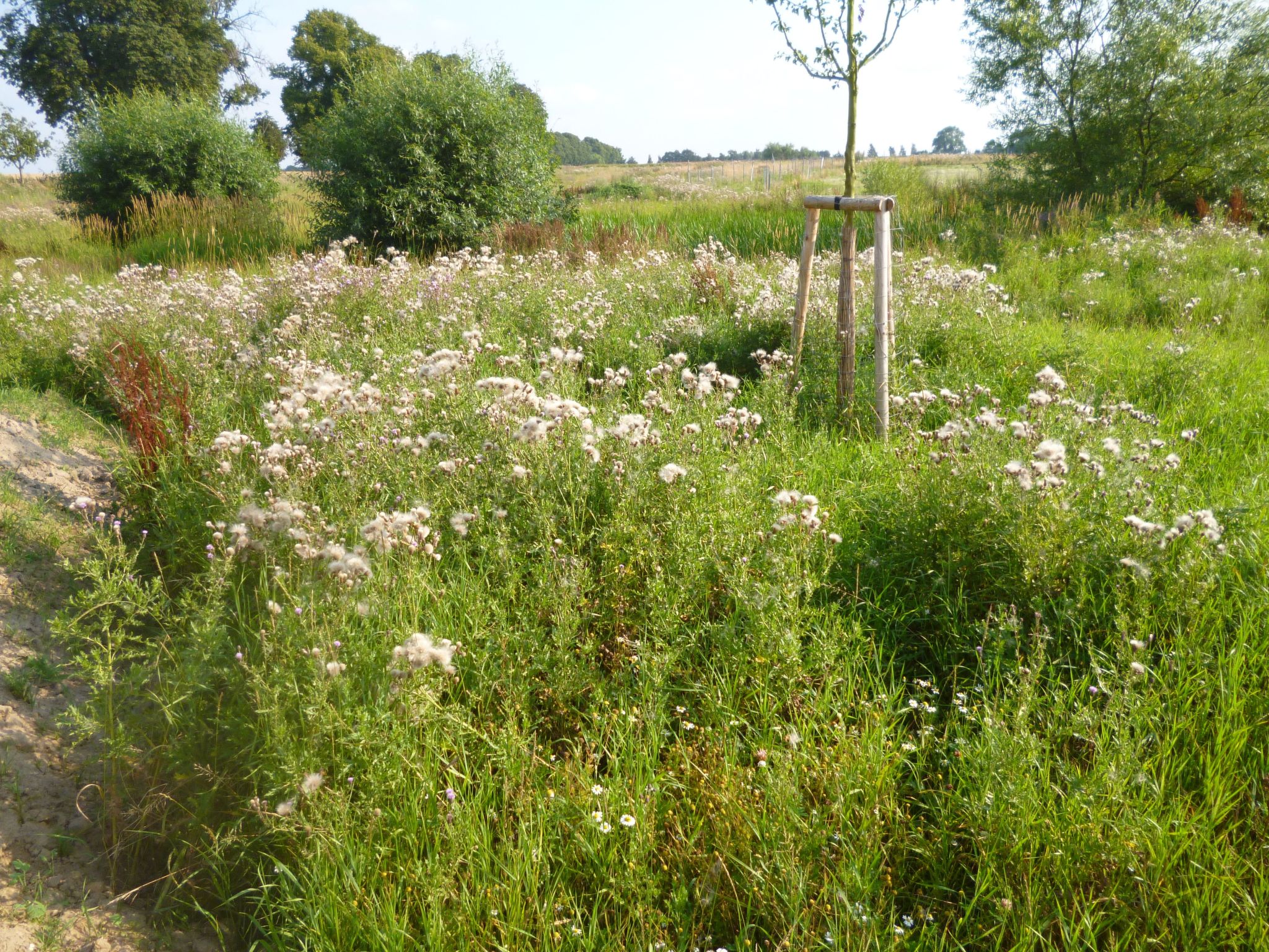 4 Jahreszeiten-Binnen