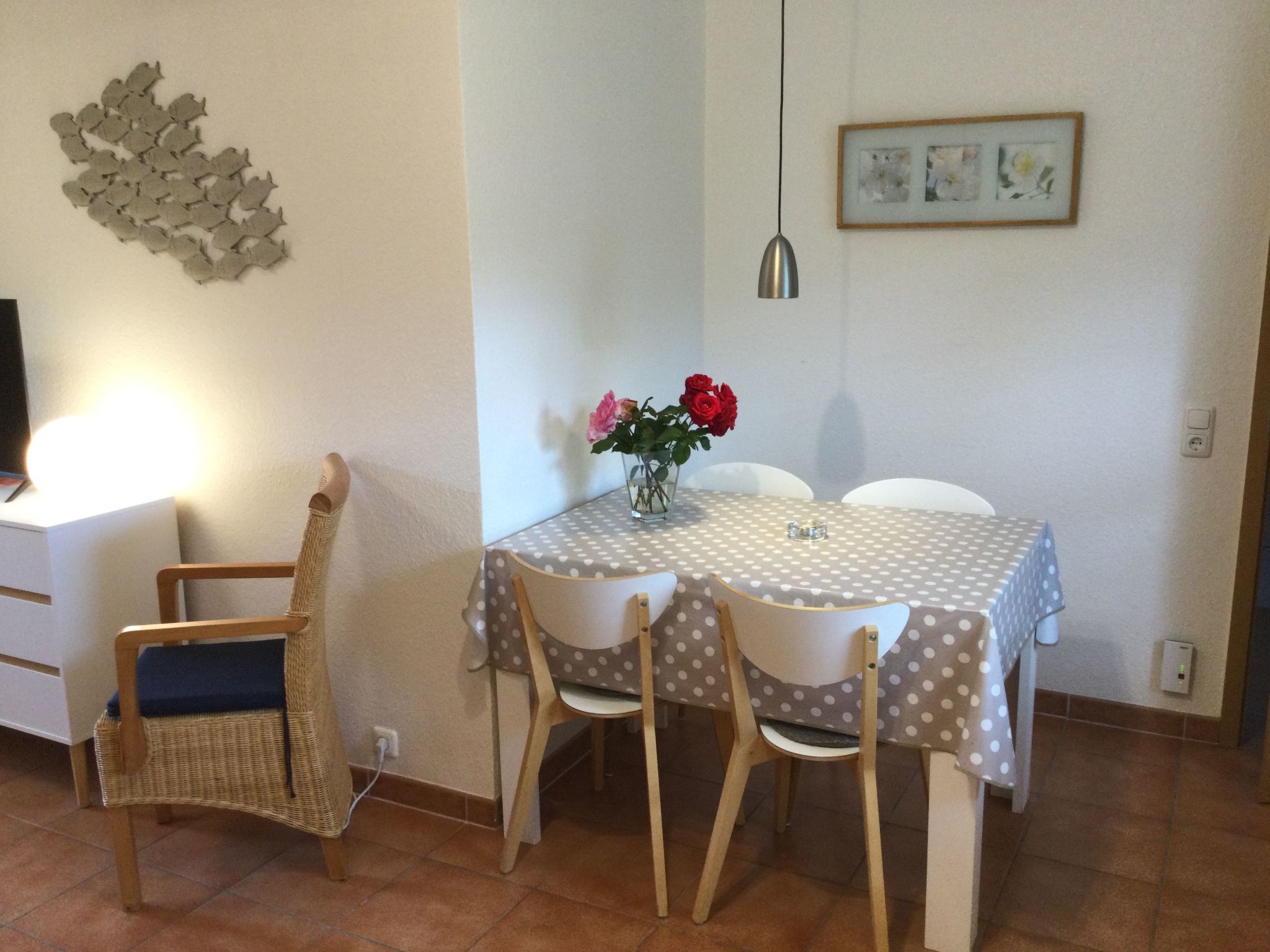  in Dassow-Image-tags.info