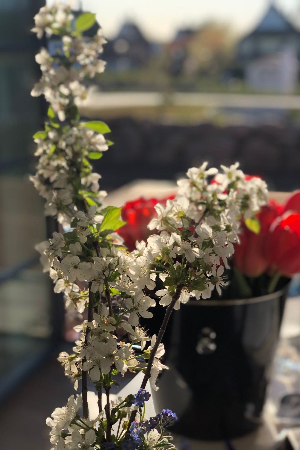 Reethus Linda am Schloß Groß Schwansee-Image-tags.info